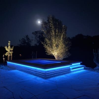 Pool moonlight