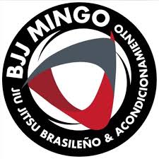 BJJ Mingo logo