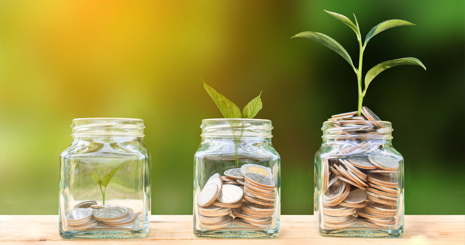 Income Protection