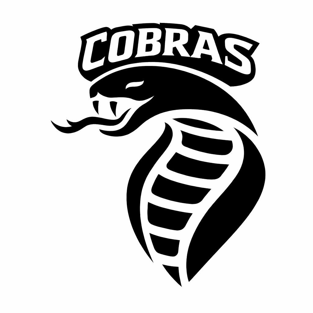 Logo de COBRAS