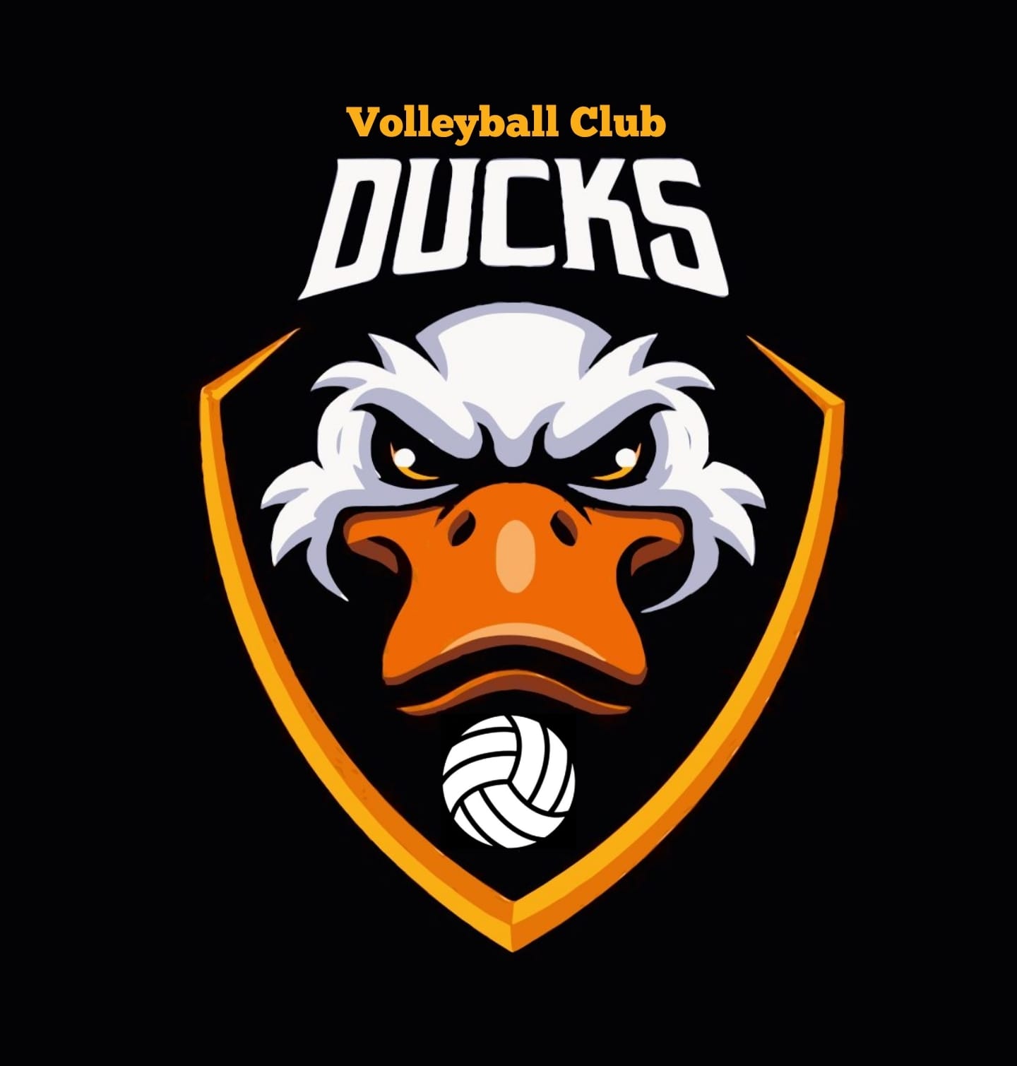 DUCKS INFANTIL AZUL