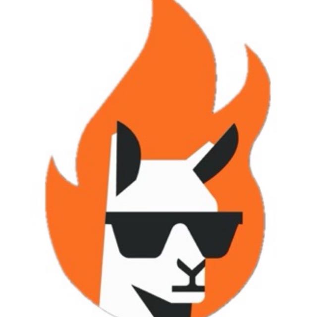 LLAMA EN LLAMAS C