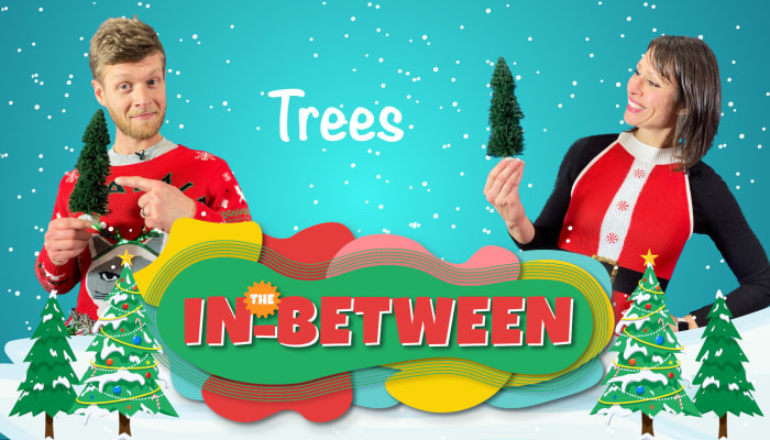Trees.jpg