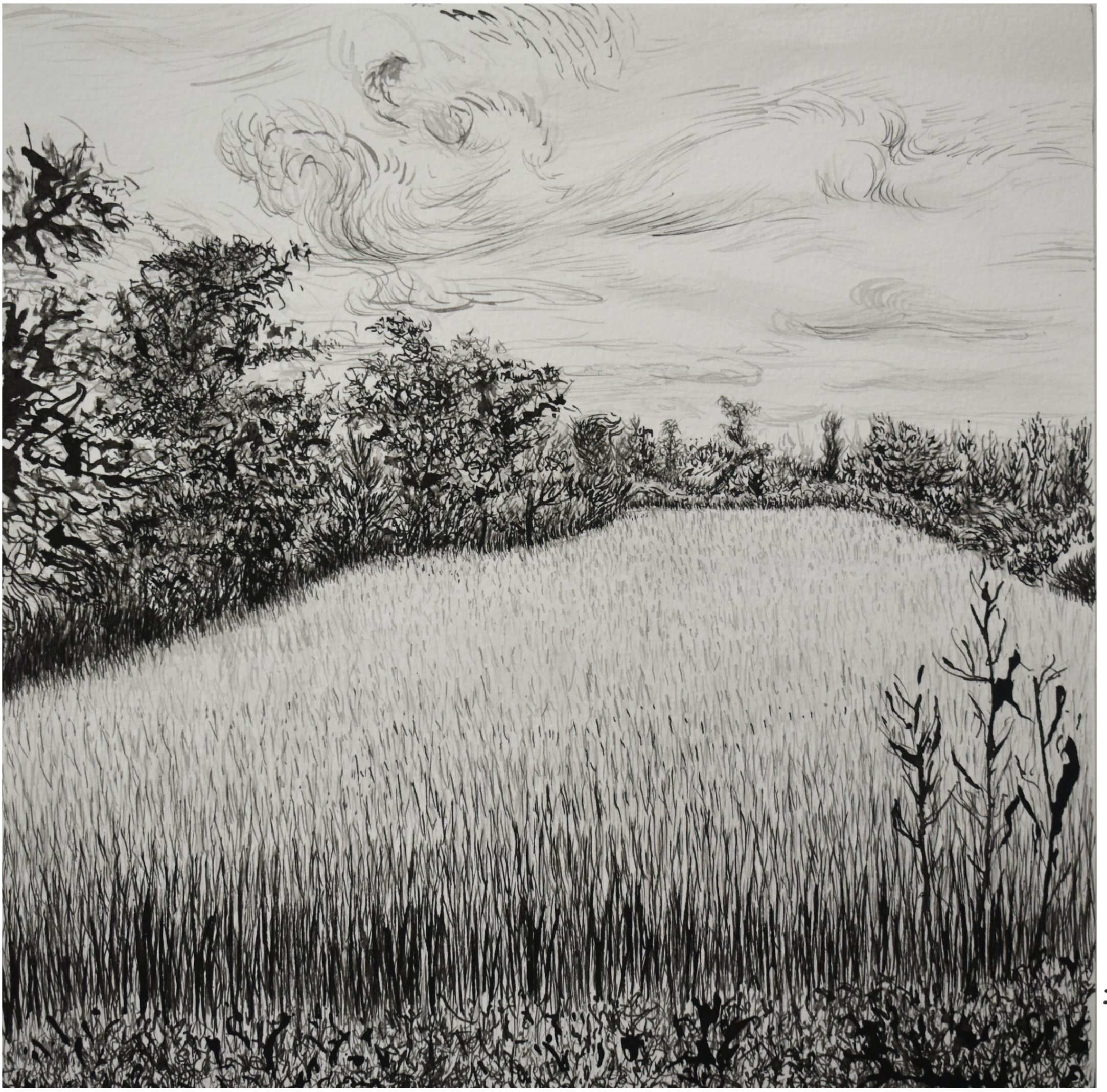 whispers in bloom by Anil Kumar Simhadri