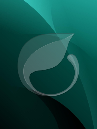 Distribuidor Esmeralda