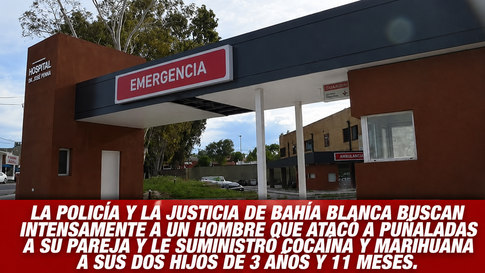 Violento ataque en Bahía Blanca: investigan a una pareja por lesiones graves, narcocultivo y intoxicación de dos bebés