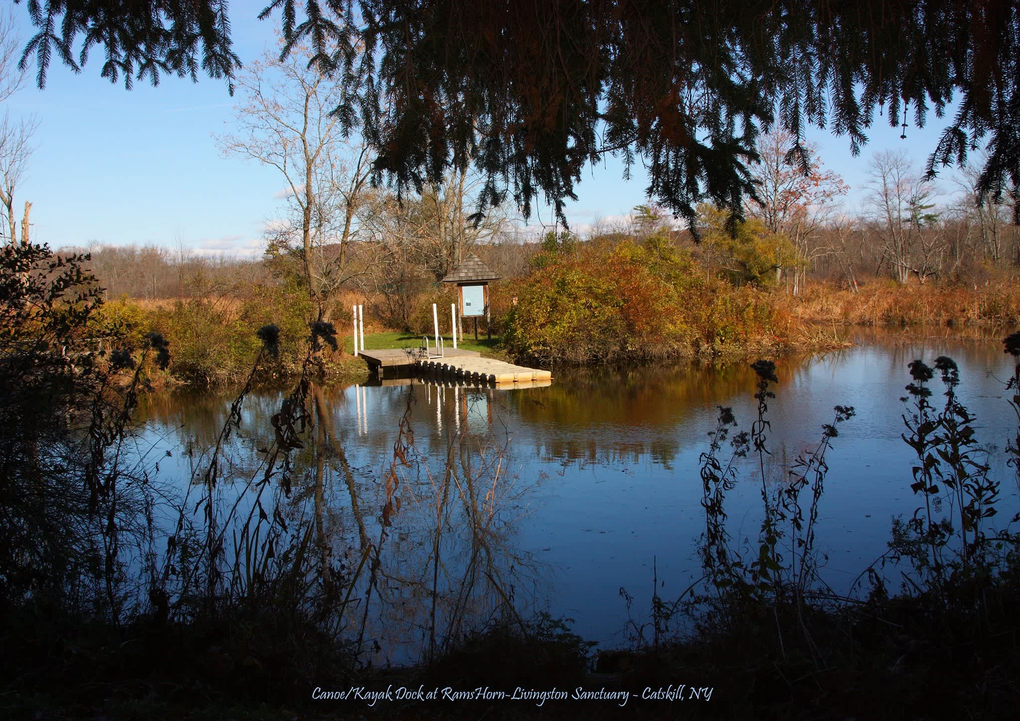 RamsHorn-Livingston Sanctuary