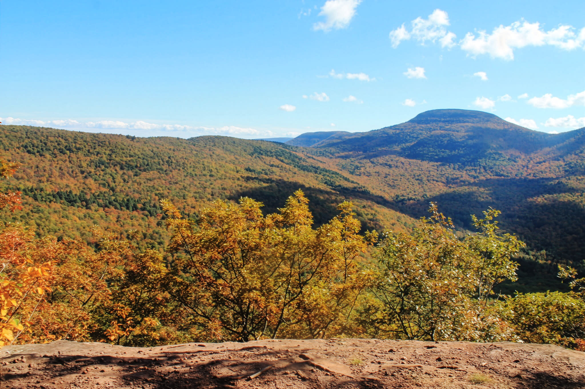 Windham High Peak via Burnt Knob — image 1