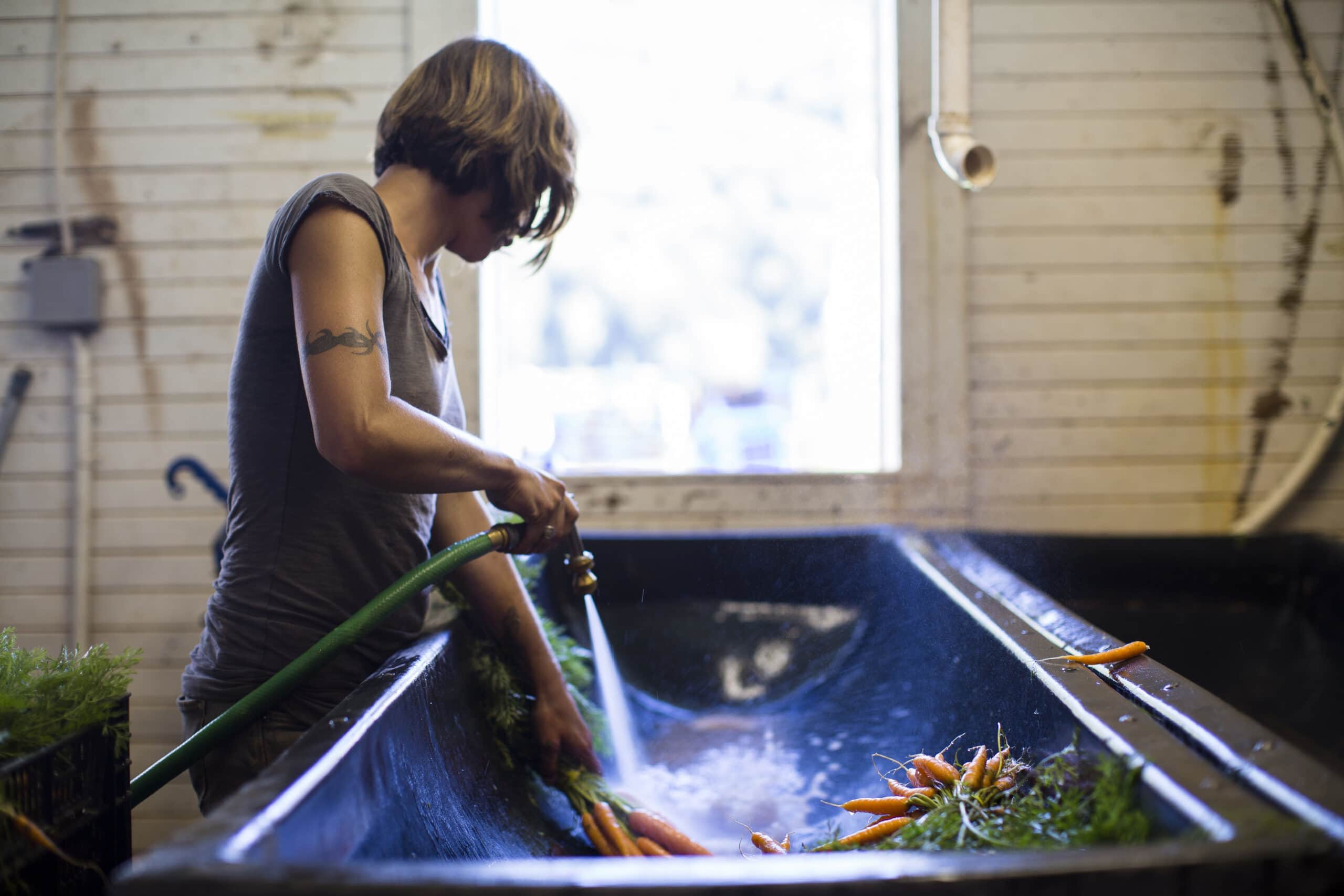 Farm-to-table
