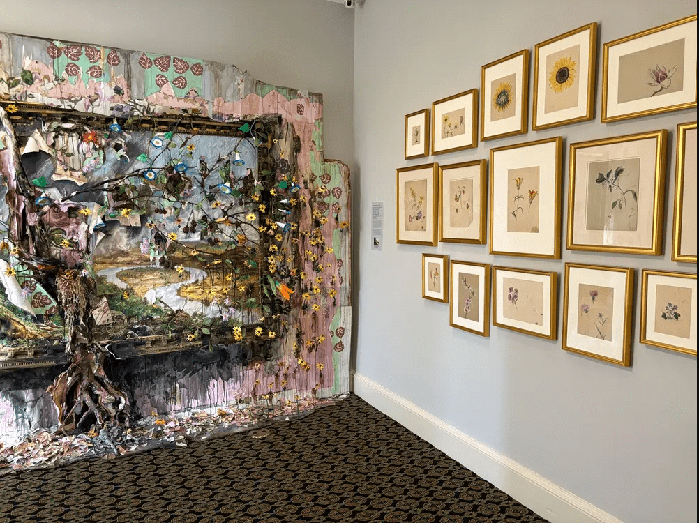 Curator’s Tour