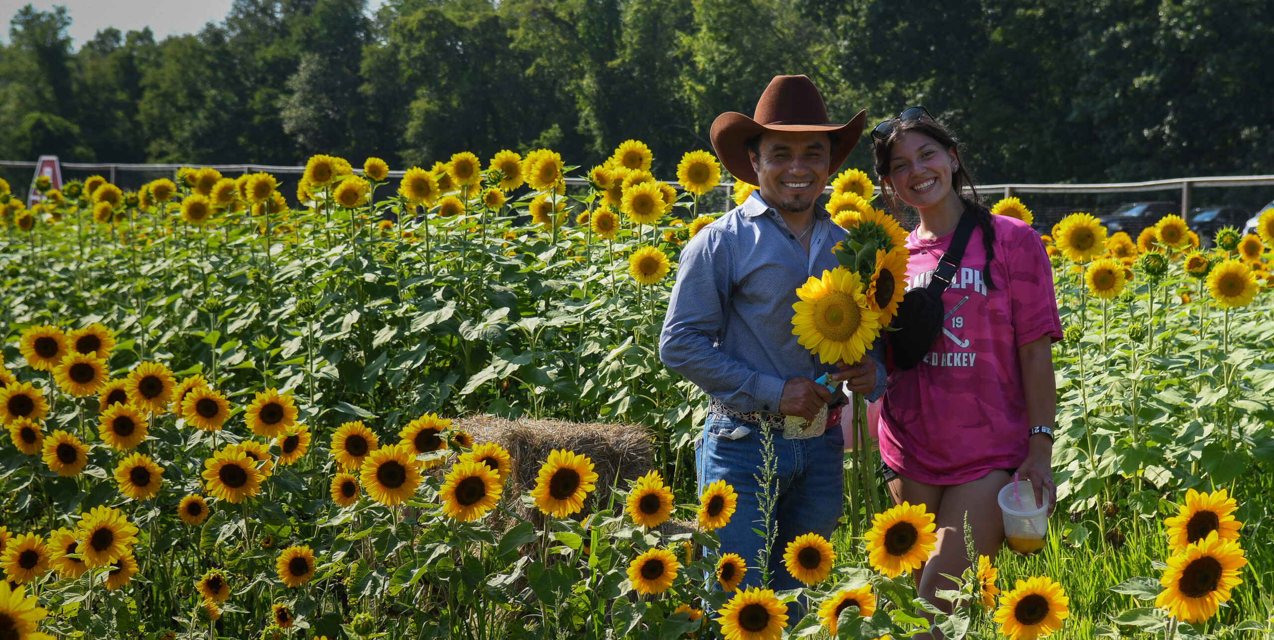 Sunflower & Sangria Festival at Meadowbrook Farm — image 1