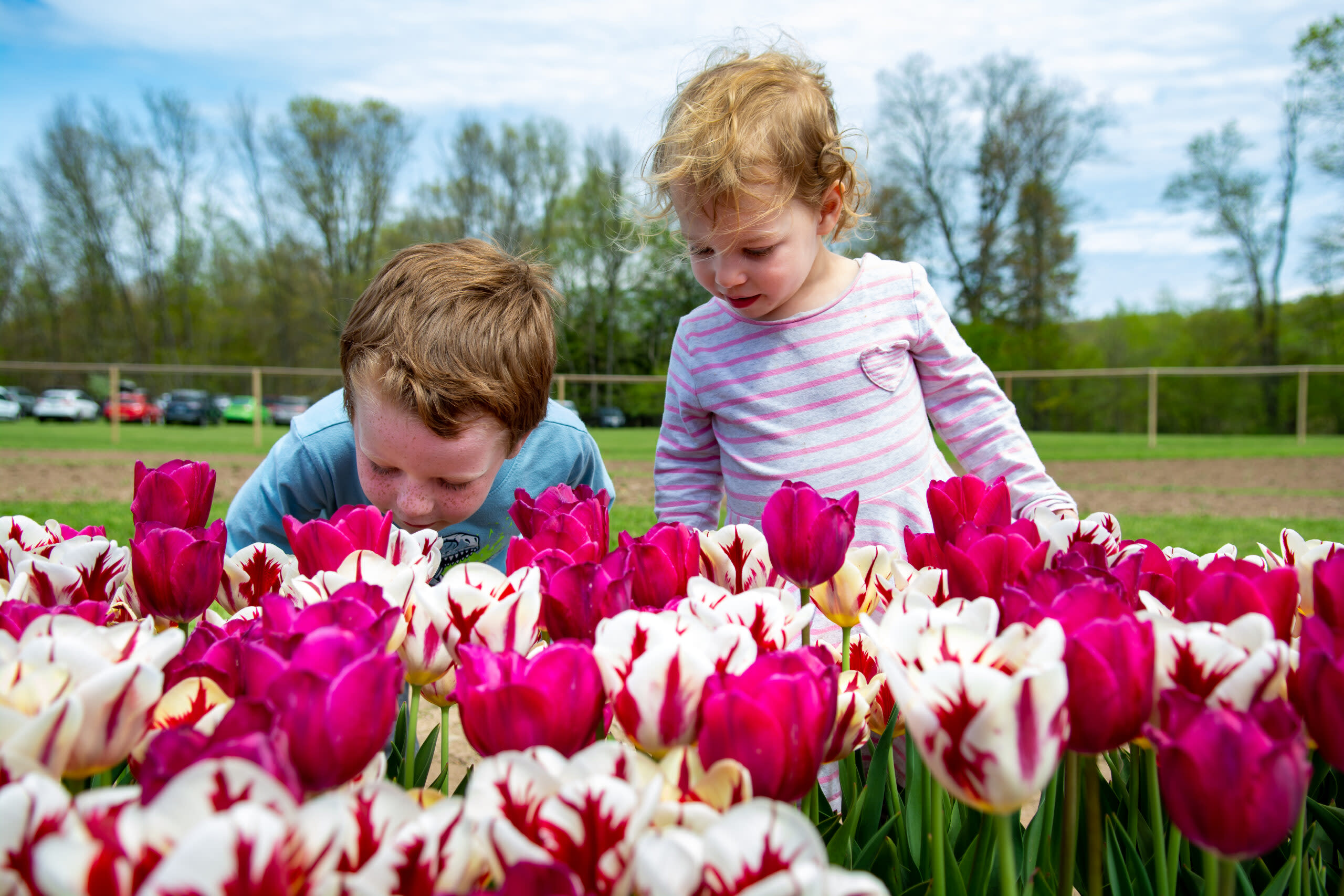 Spring Fling Flower Walk at Meadowbrook Farm — image 1