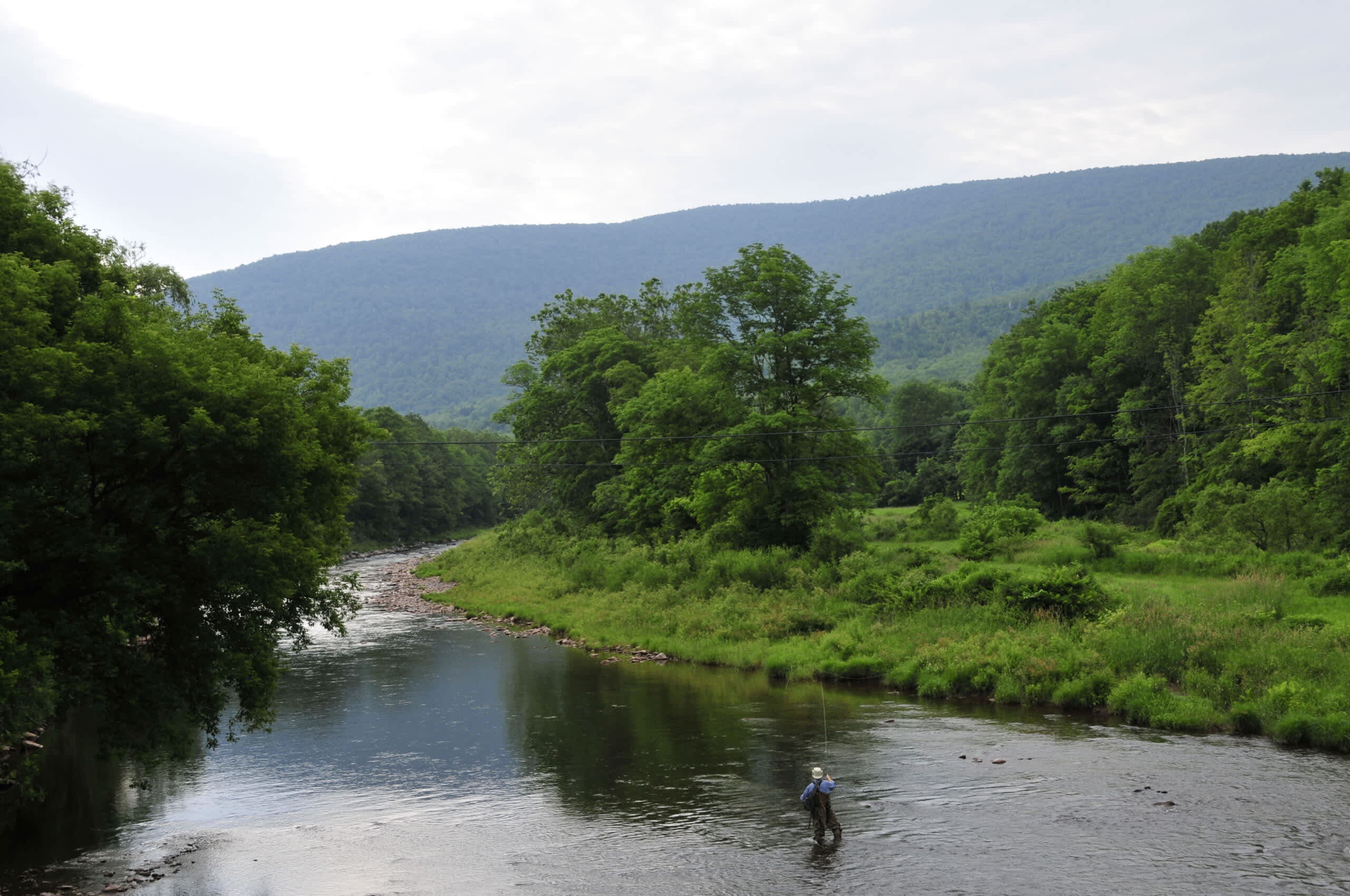 Catskills Fishing