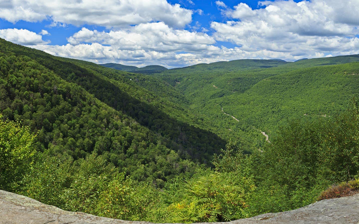 The Kaaterskill Clove Experience — image 1