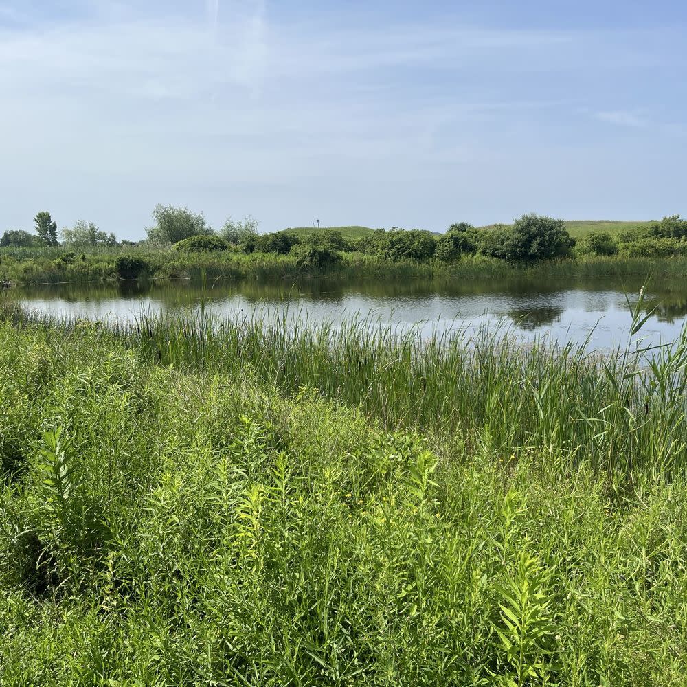 Coxsackie Creek Grassland Preserve — image 1