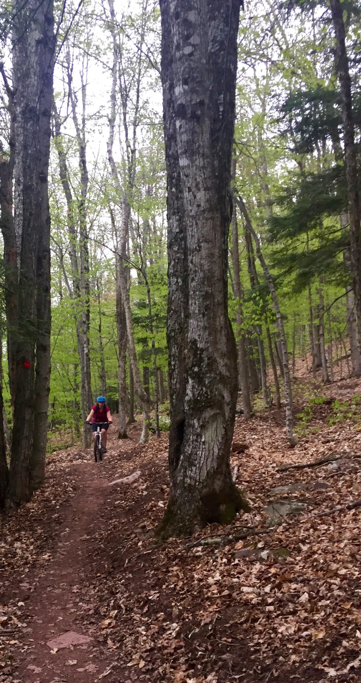 Elm Ridge Trail System