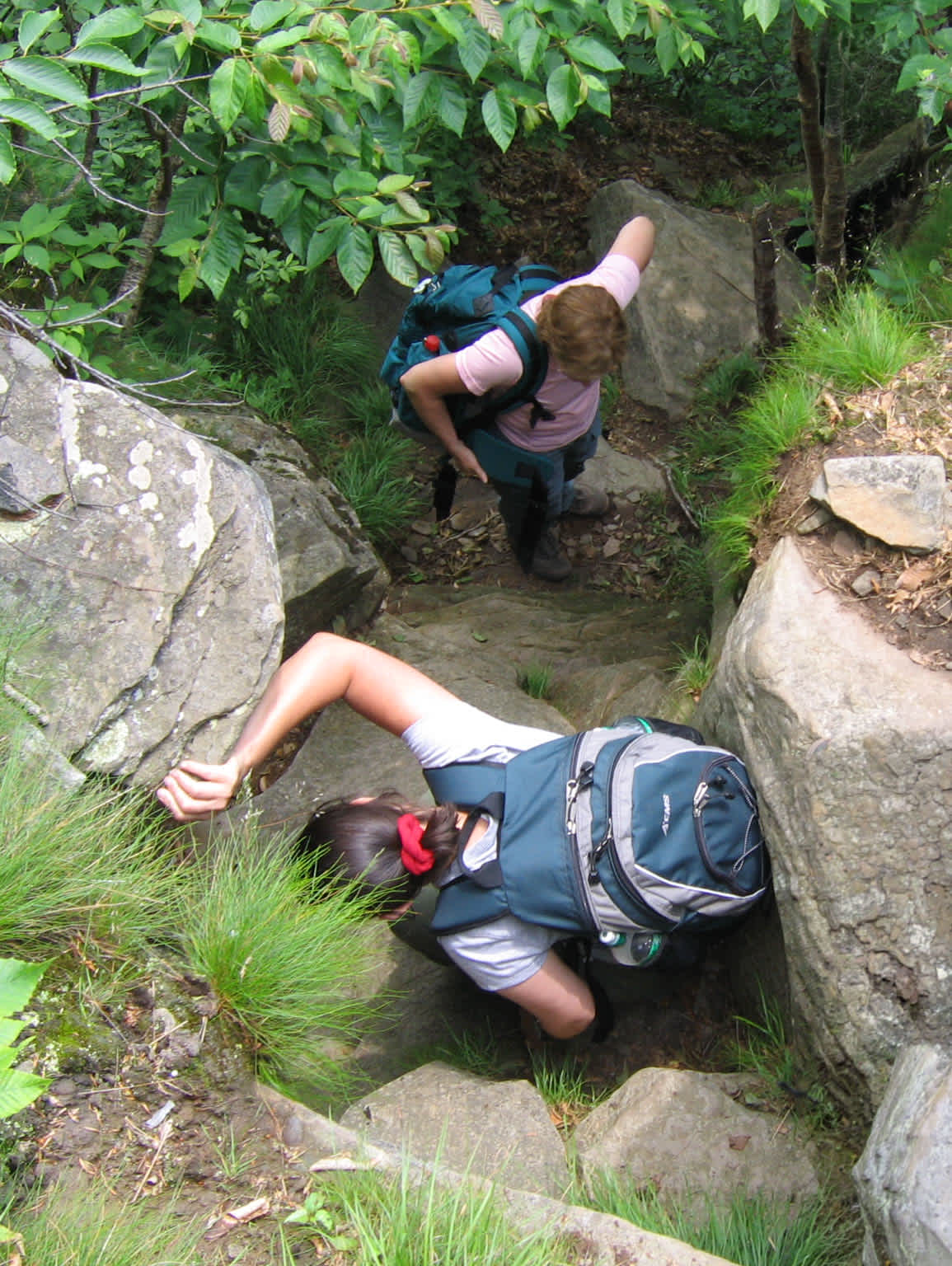 Moderate-to-Challenging Hikes