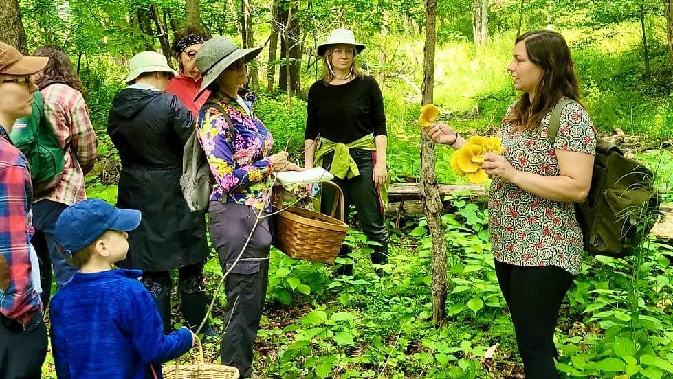 Foraging Workshop: Medicinal Plants & Fungi