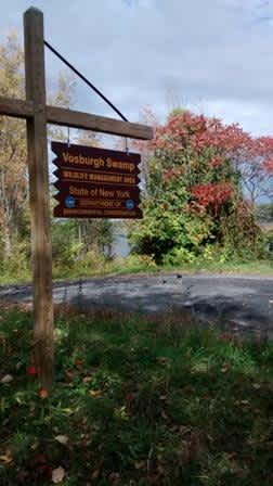 Vosburgh Swamp