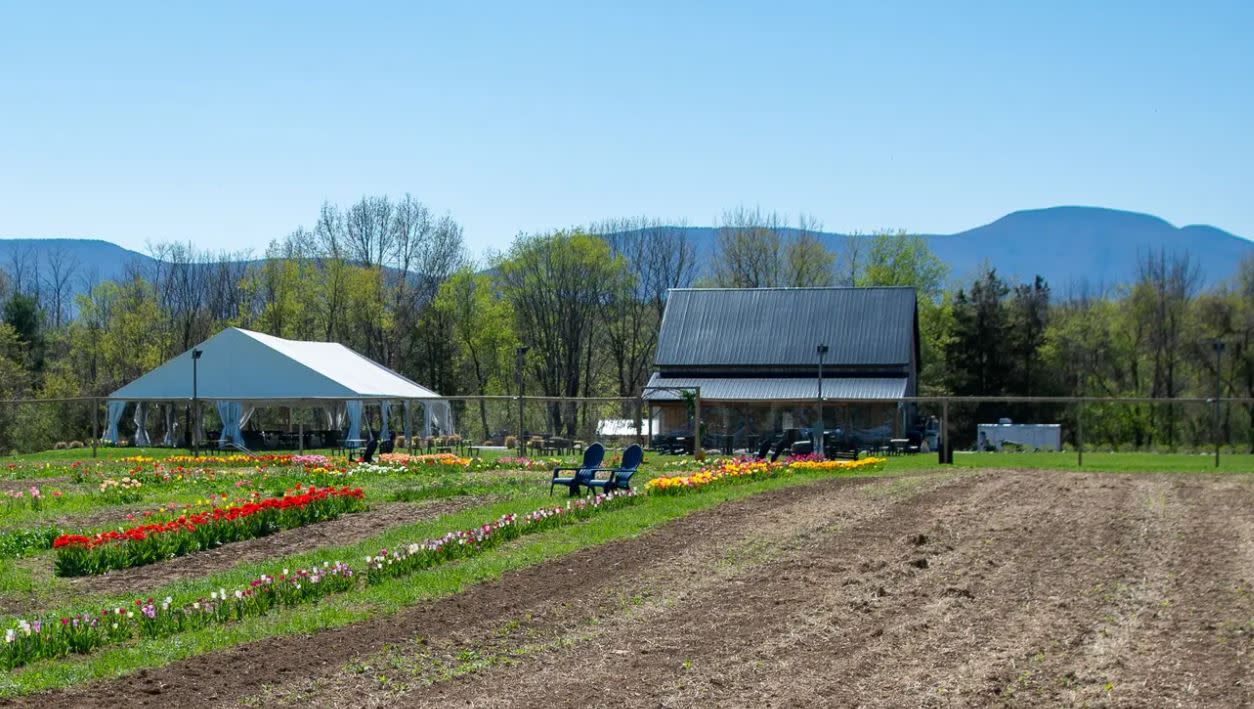 Summer Cut Flower Field Day at Meadowbrook Farm — image 1