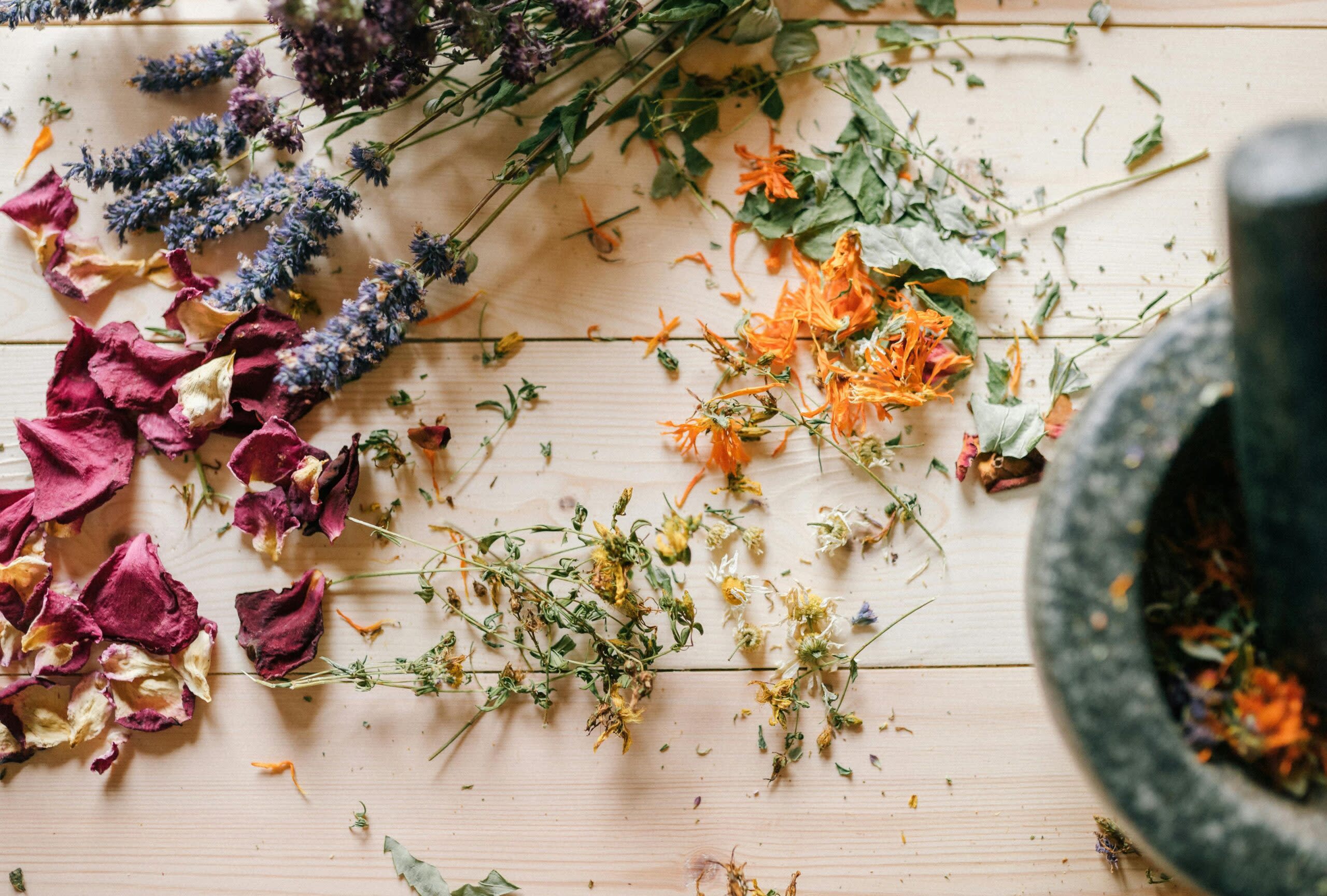 Guided Meditation with Heather Sillins