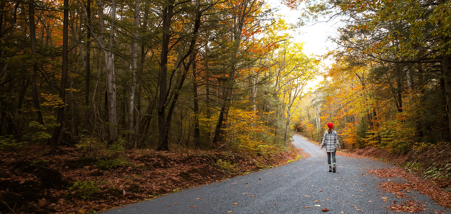 Catch the Catskill Colors