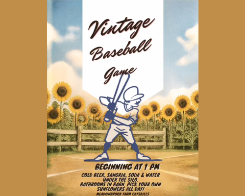 1864 Vintage Baseball Game