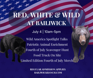 Red, White & Wild at Bailiwick