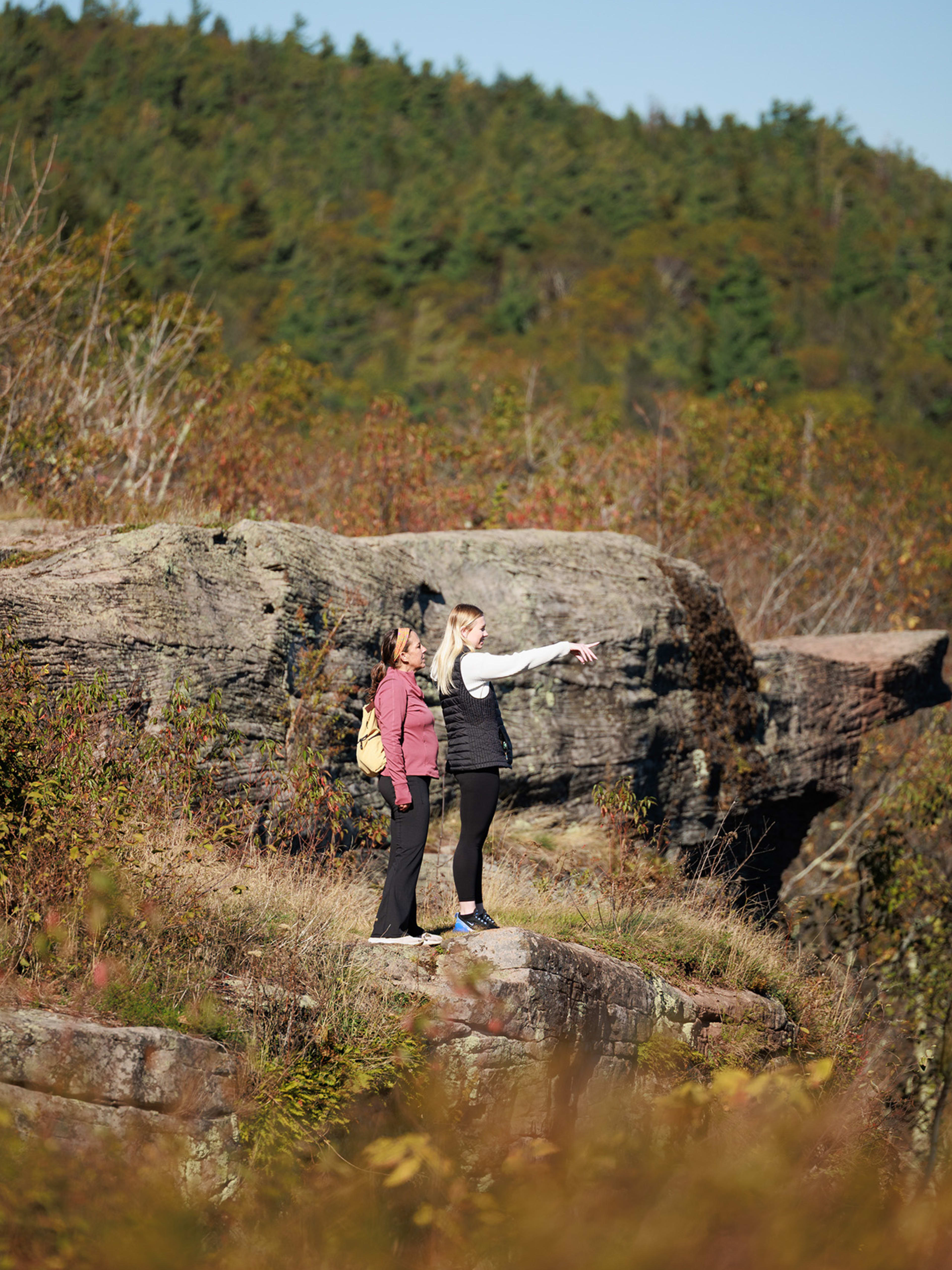 Catskill Mountain House Site