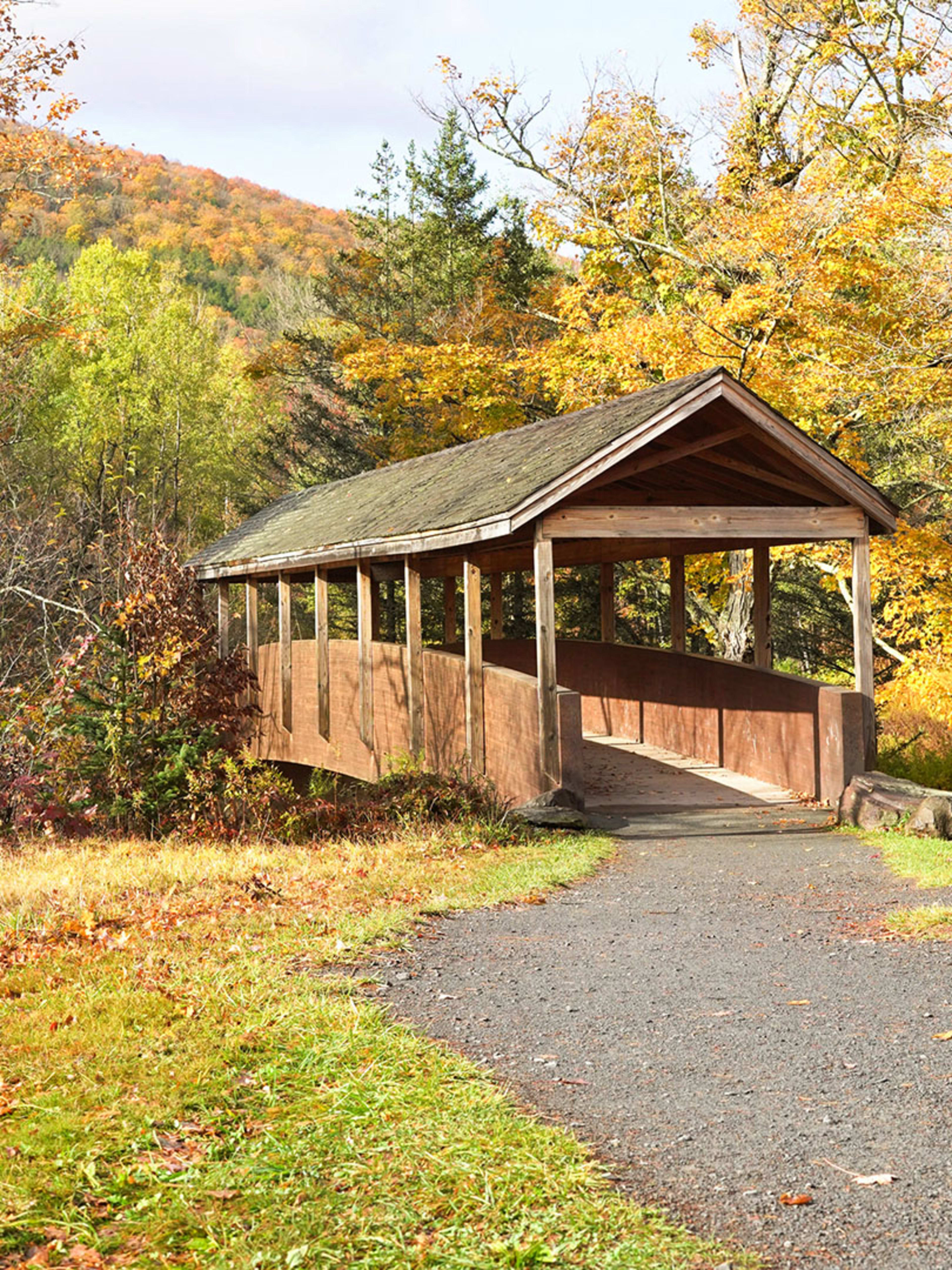 Windham Path