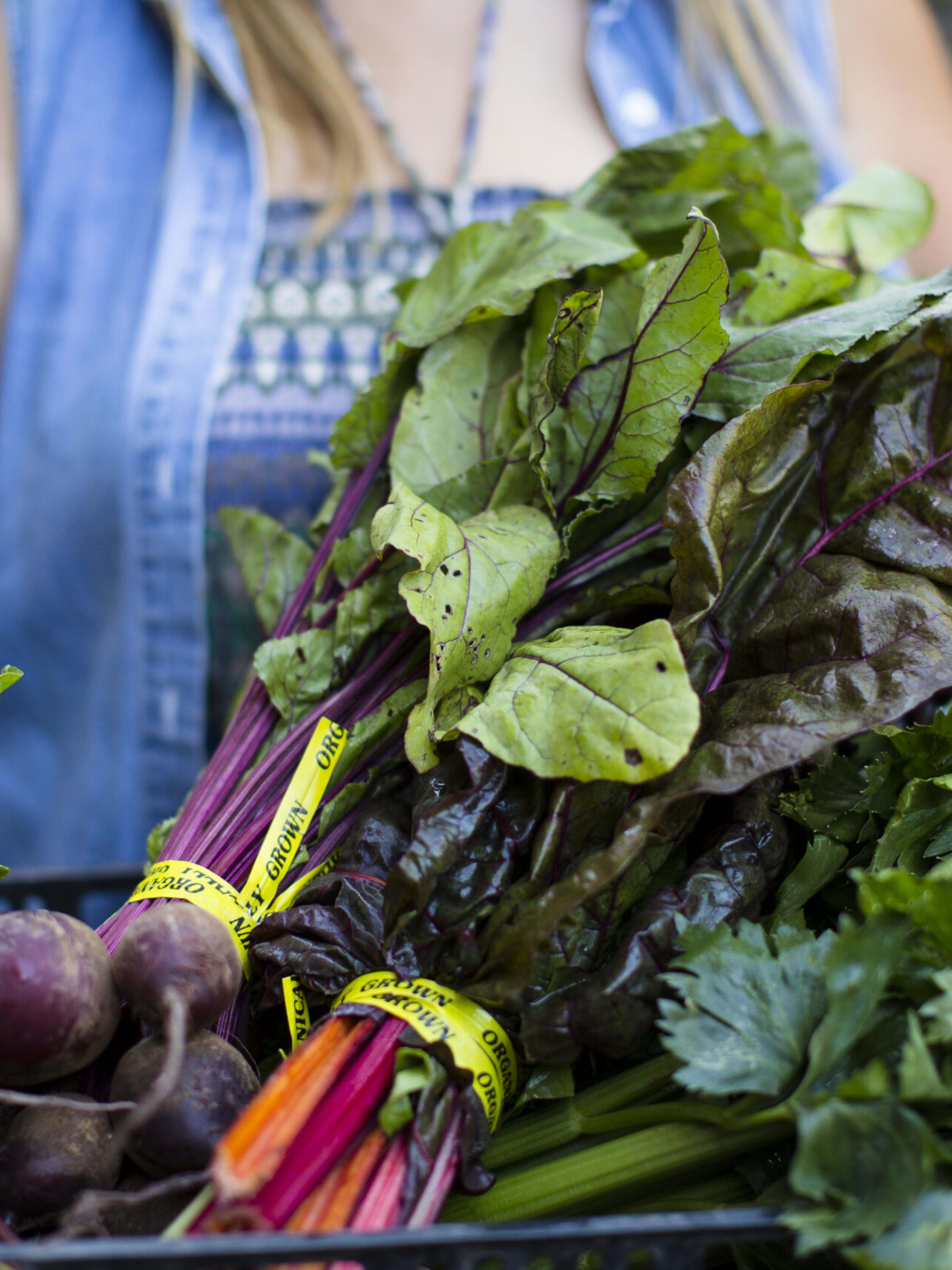 Farm-to-Table Dining in Greene County