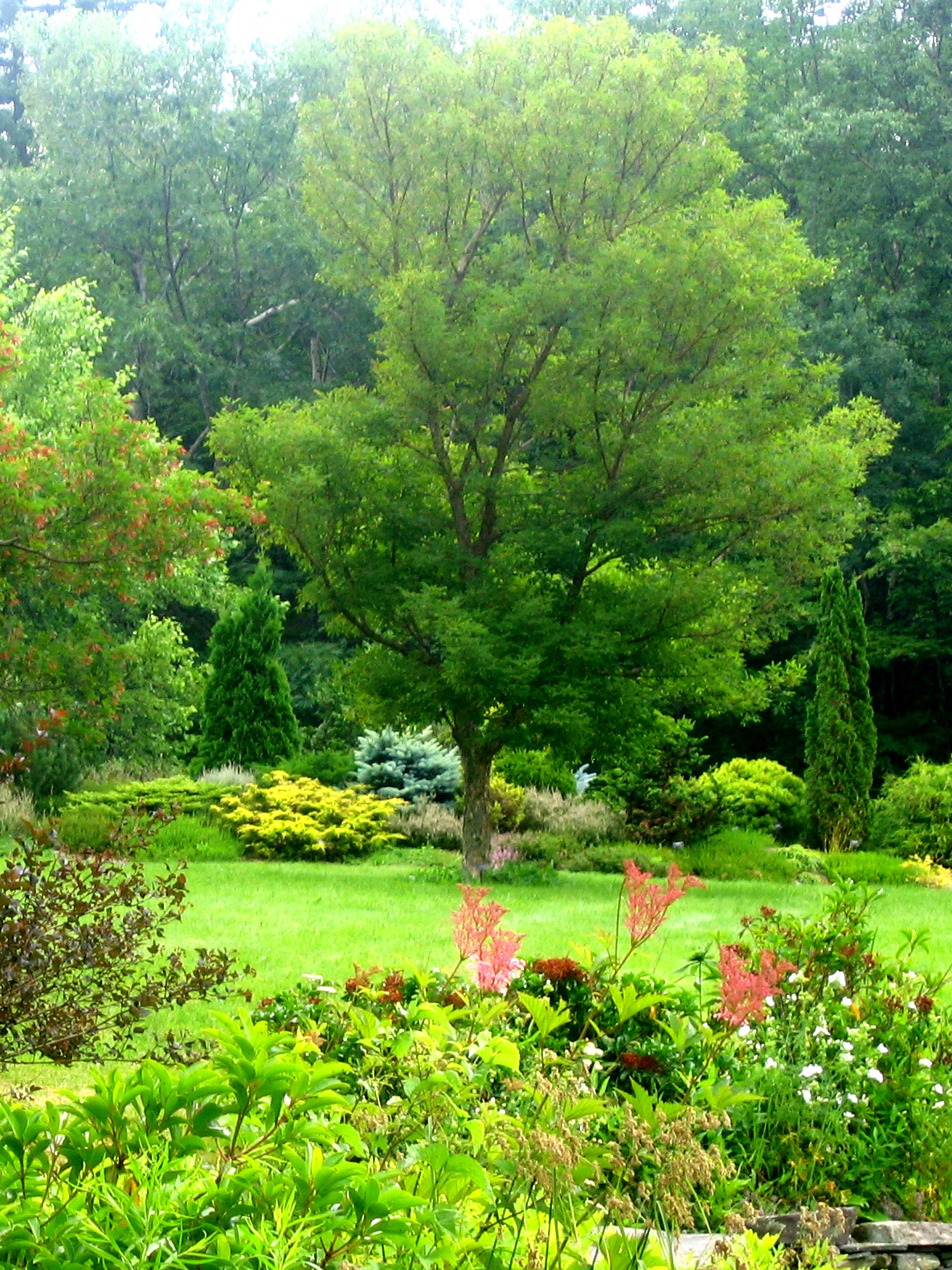 Mountain Top Arboretum