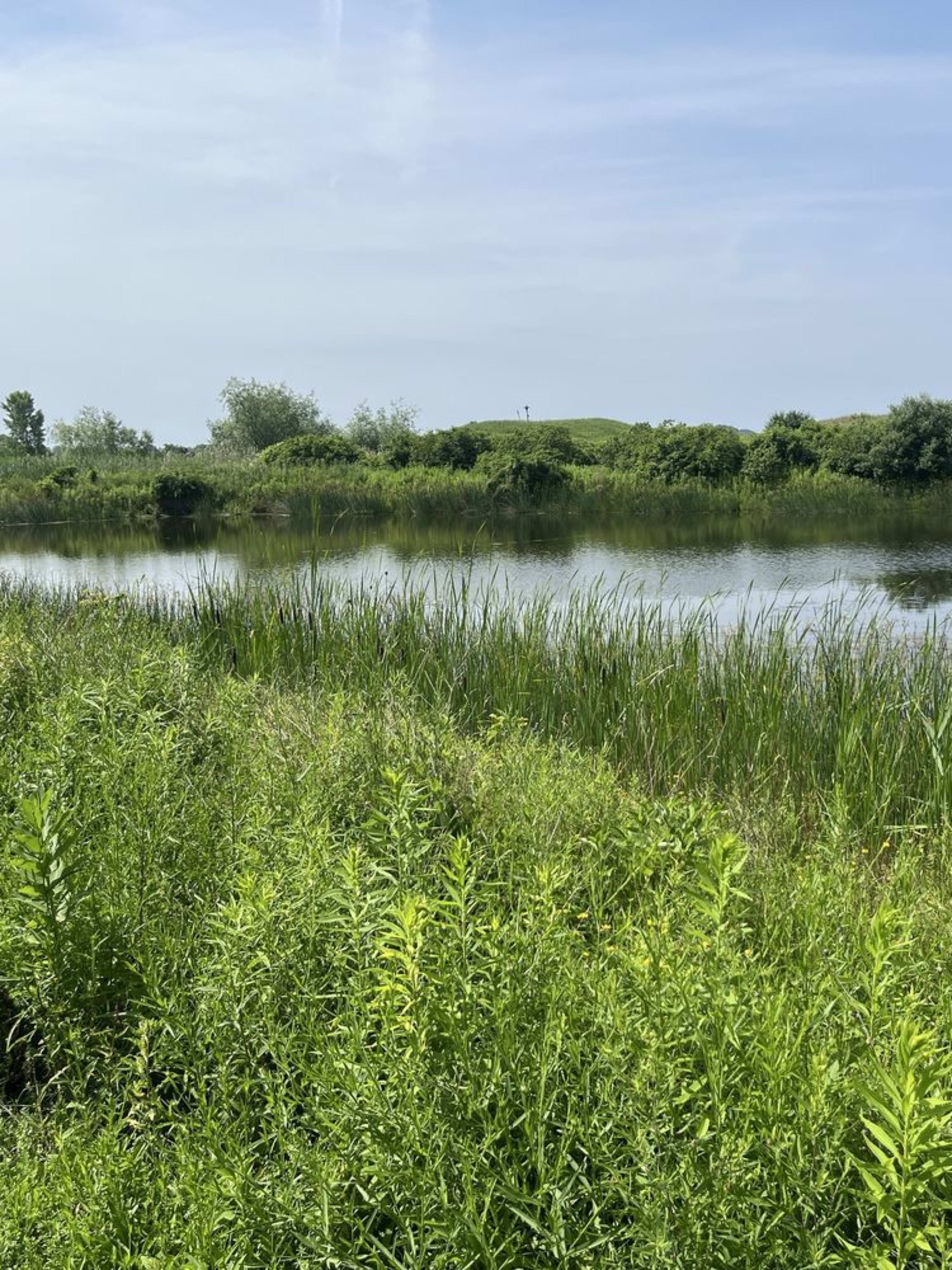 Coxsackie Creek Grassland Preserve