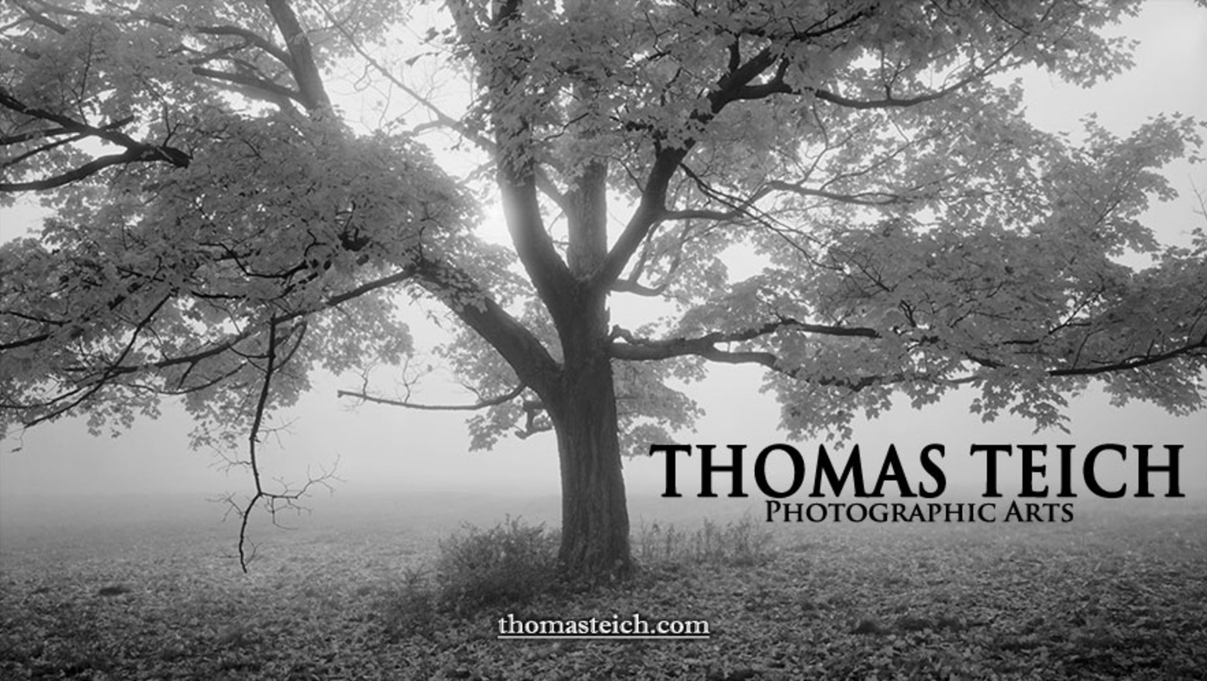 Thomas Teich Photographic Arts Studio & Gallery