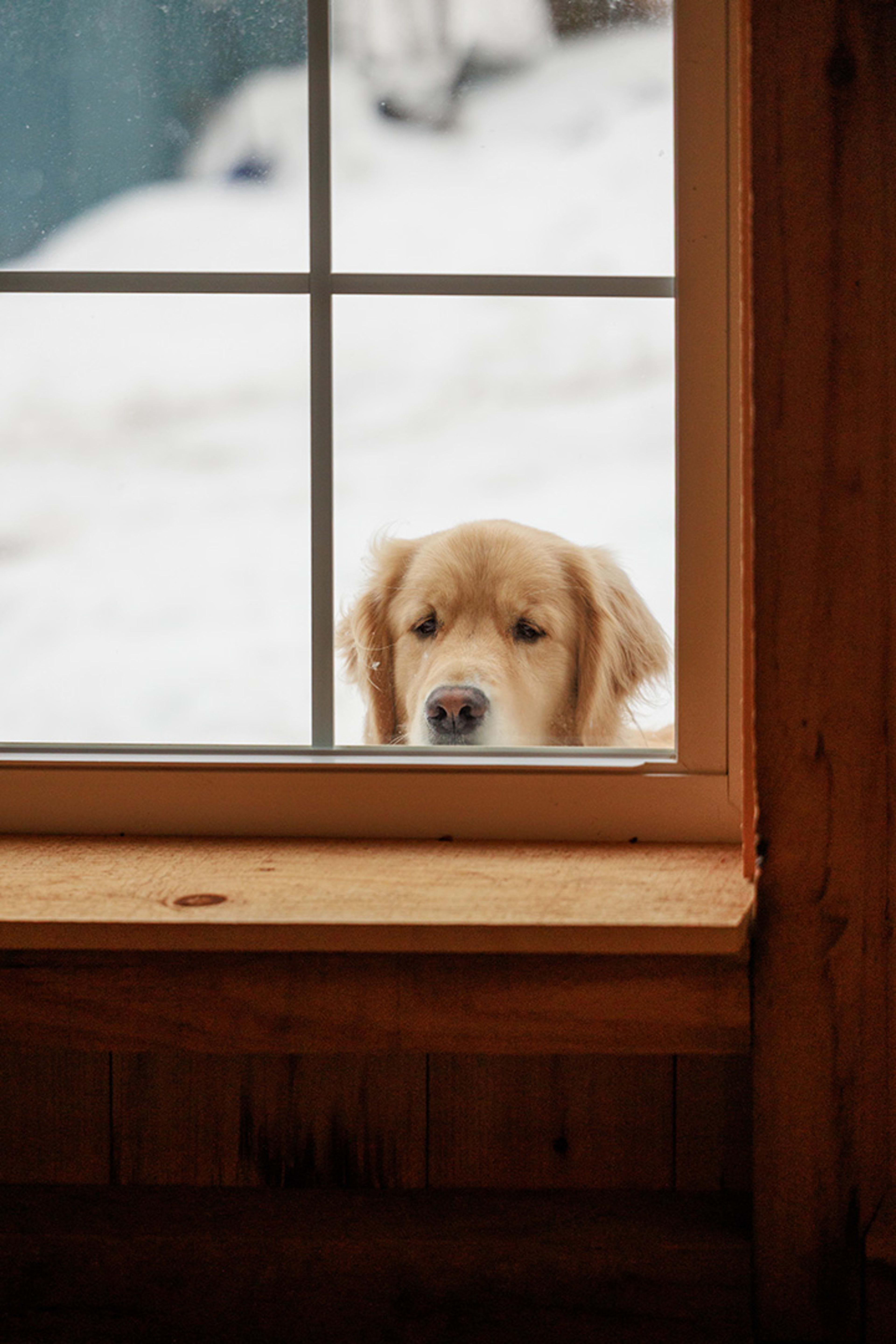 Plan Your Winter Getaway