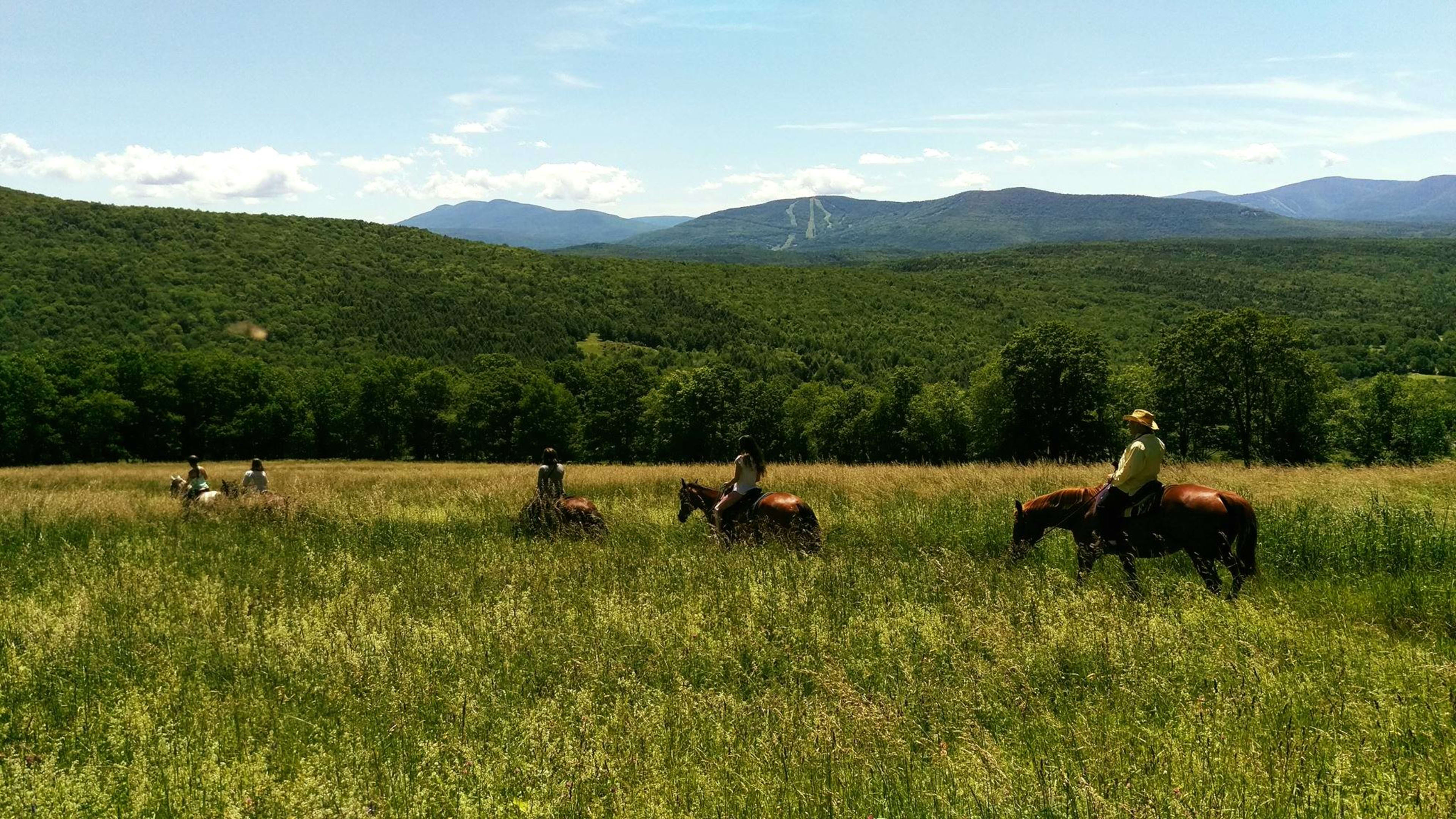 Mountain Brook Farm — image 2
