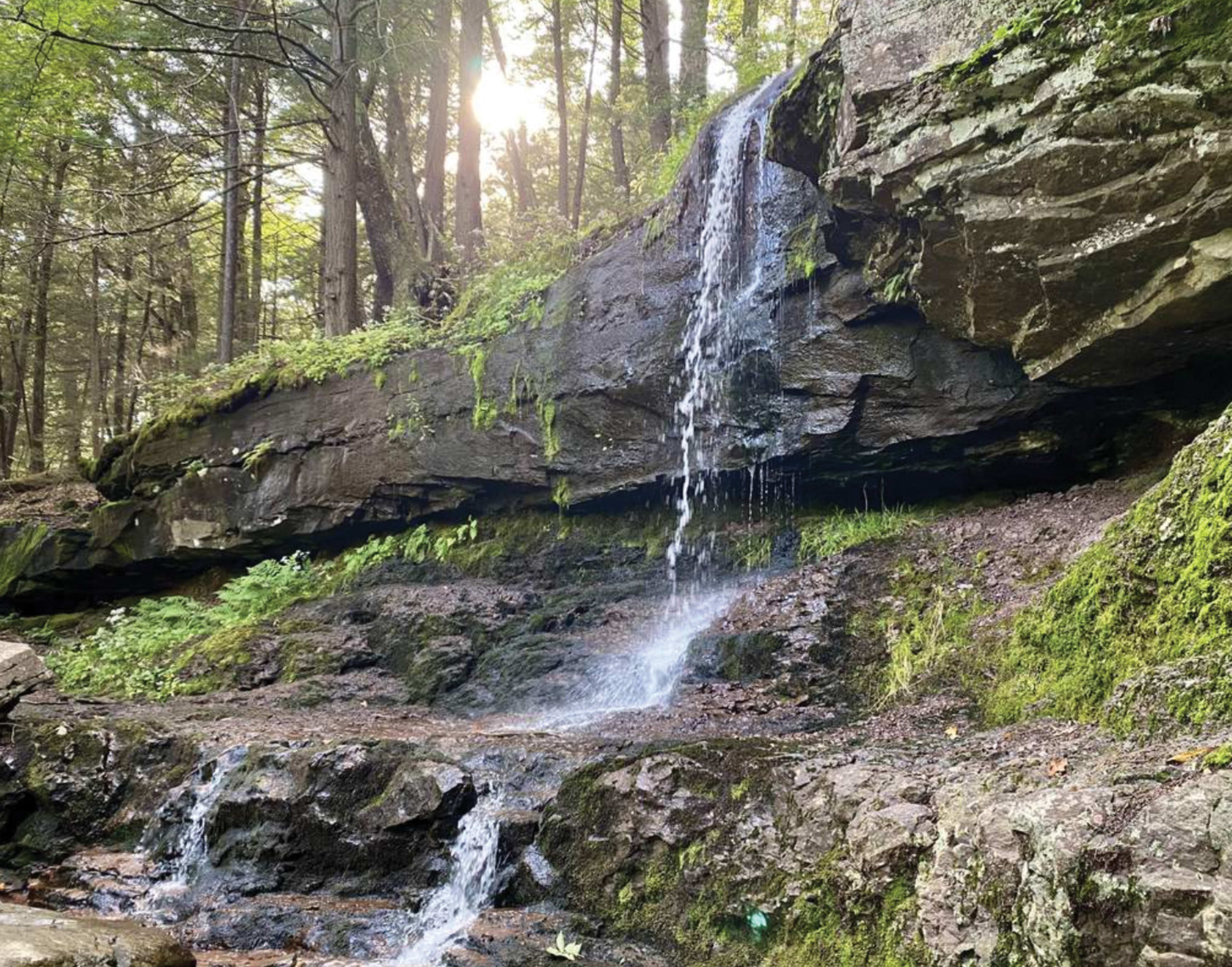 Ashley Falls