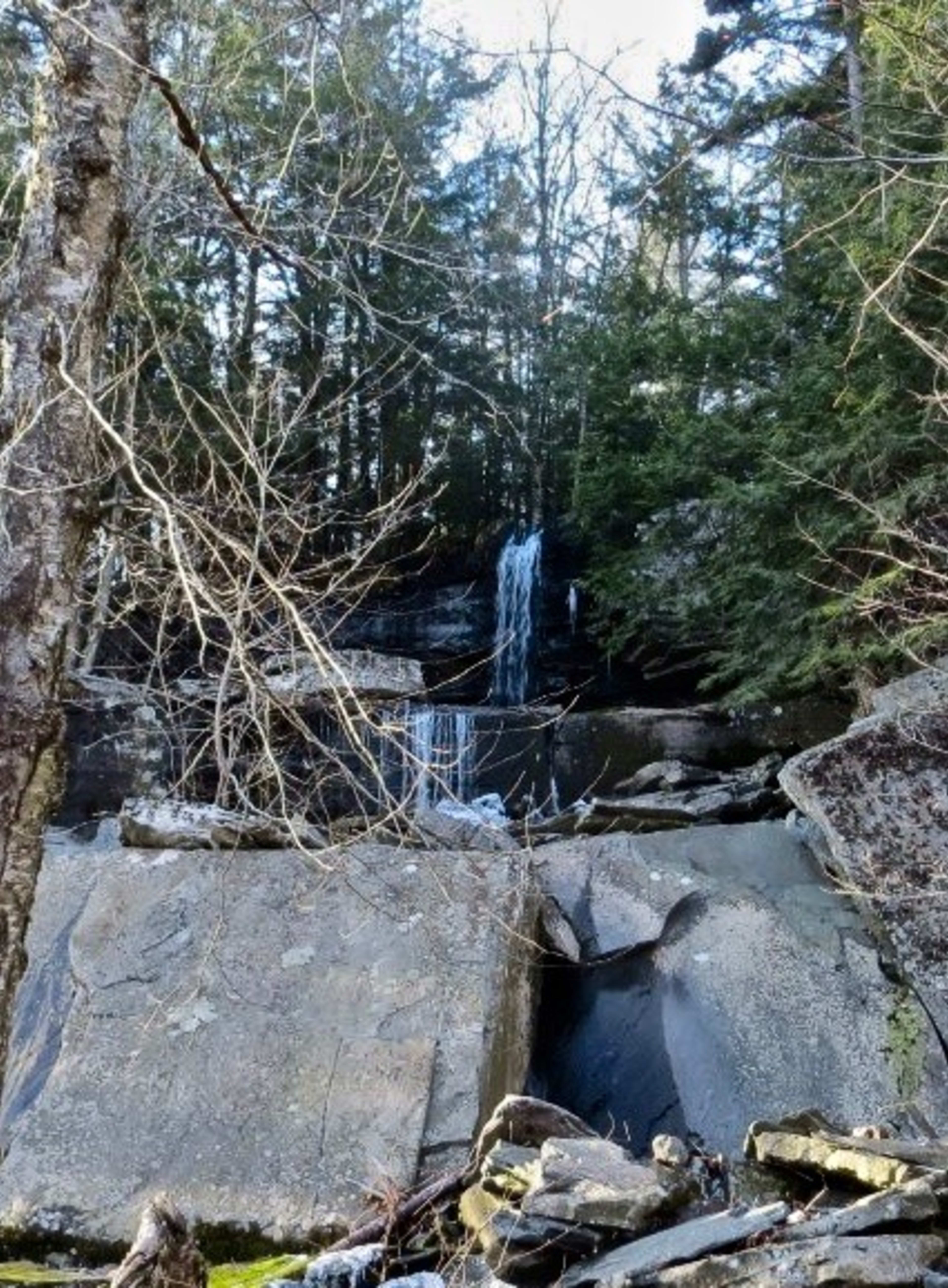 Ashley Falls