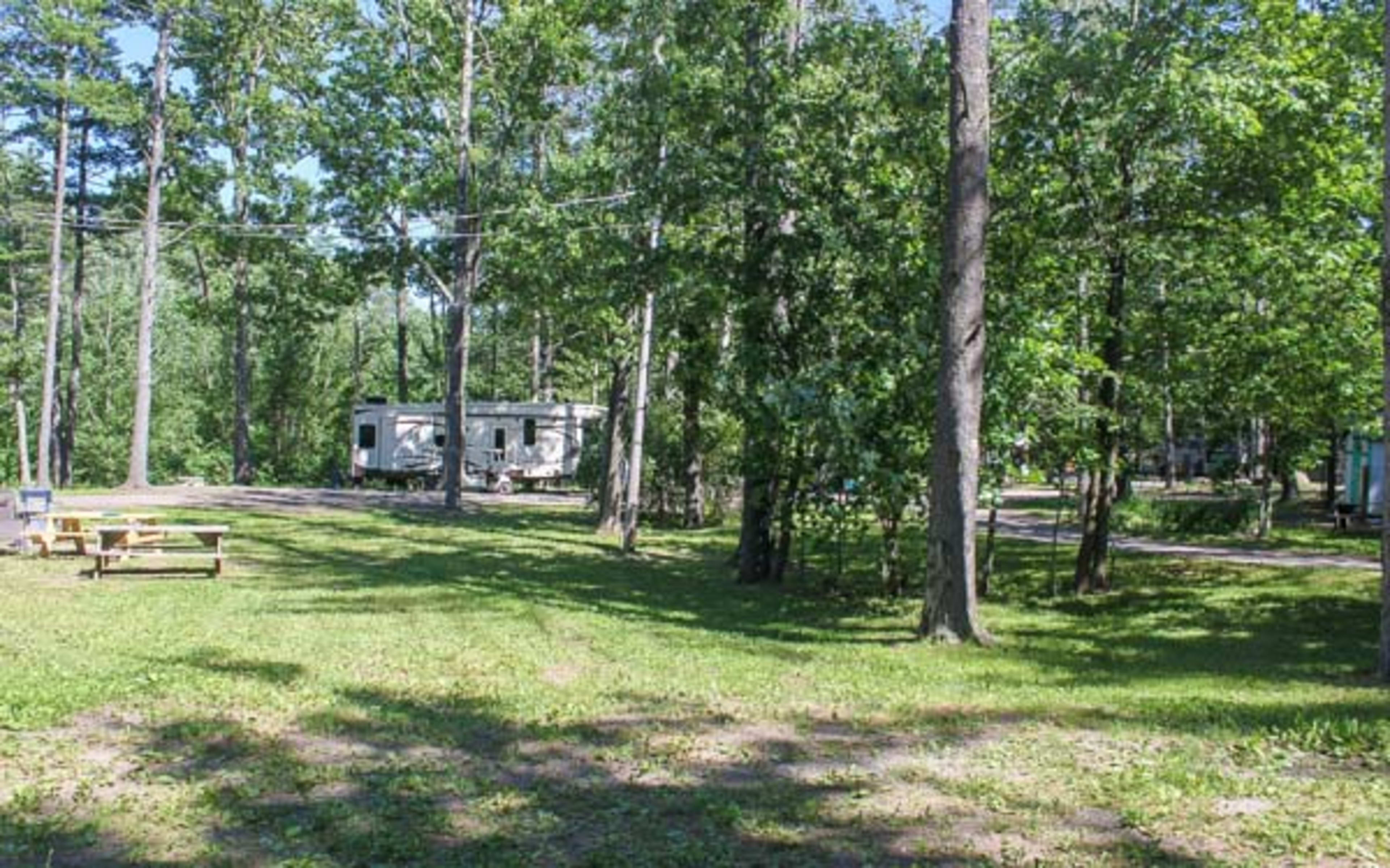 Campground with RV, picnic tables, and tall trees on grassy grounds in summer.