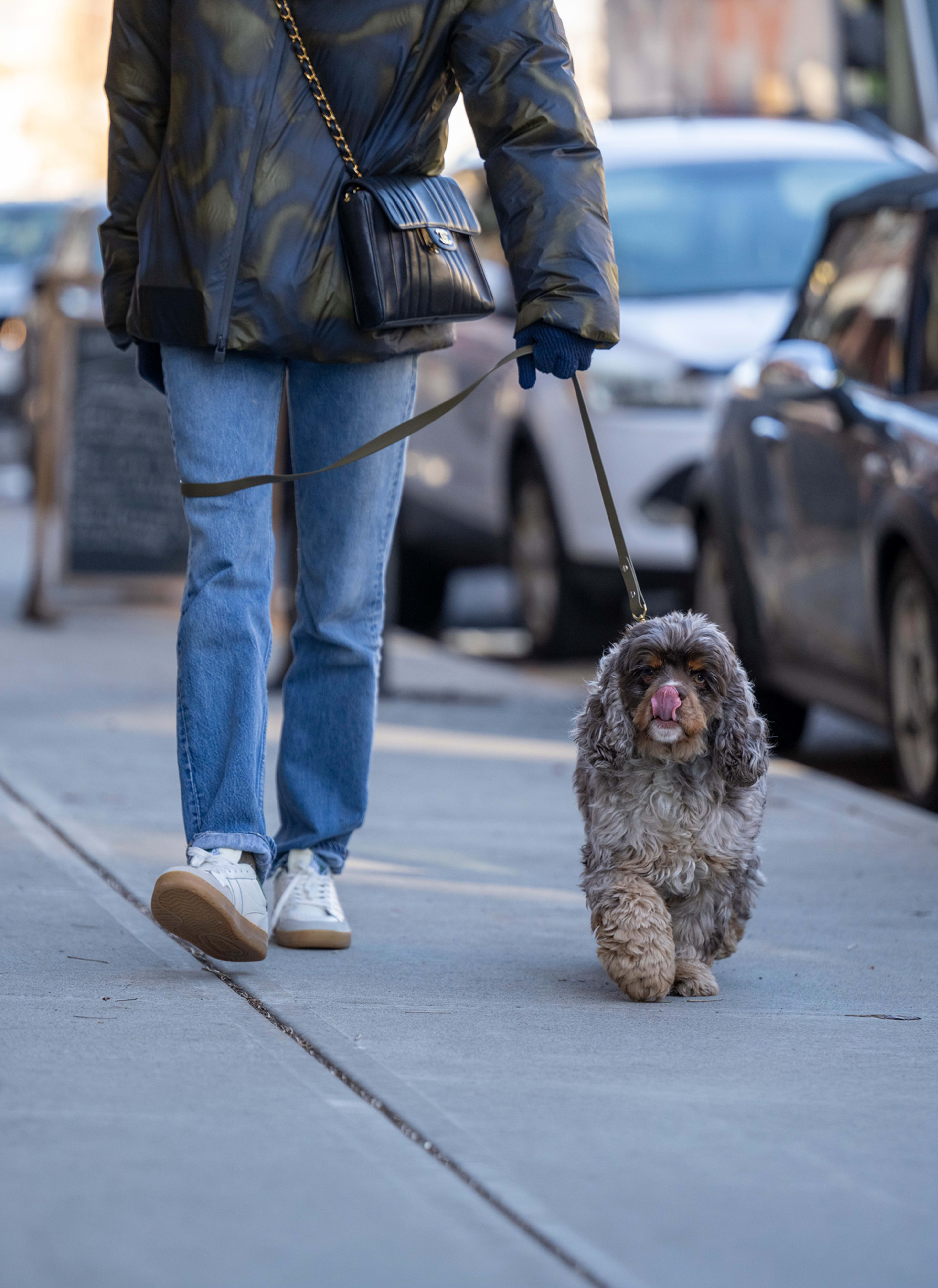 Town Walks