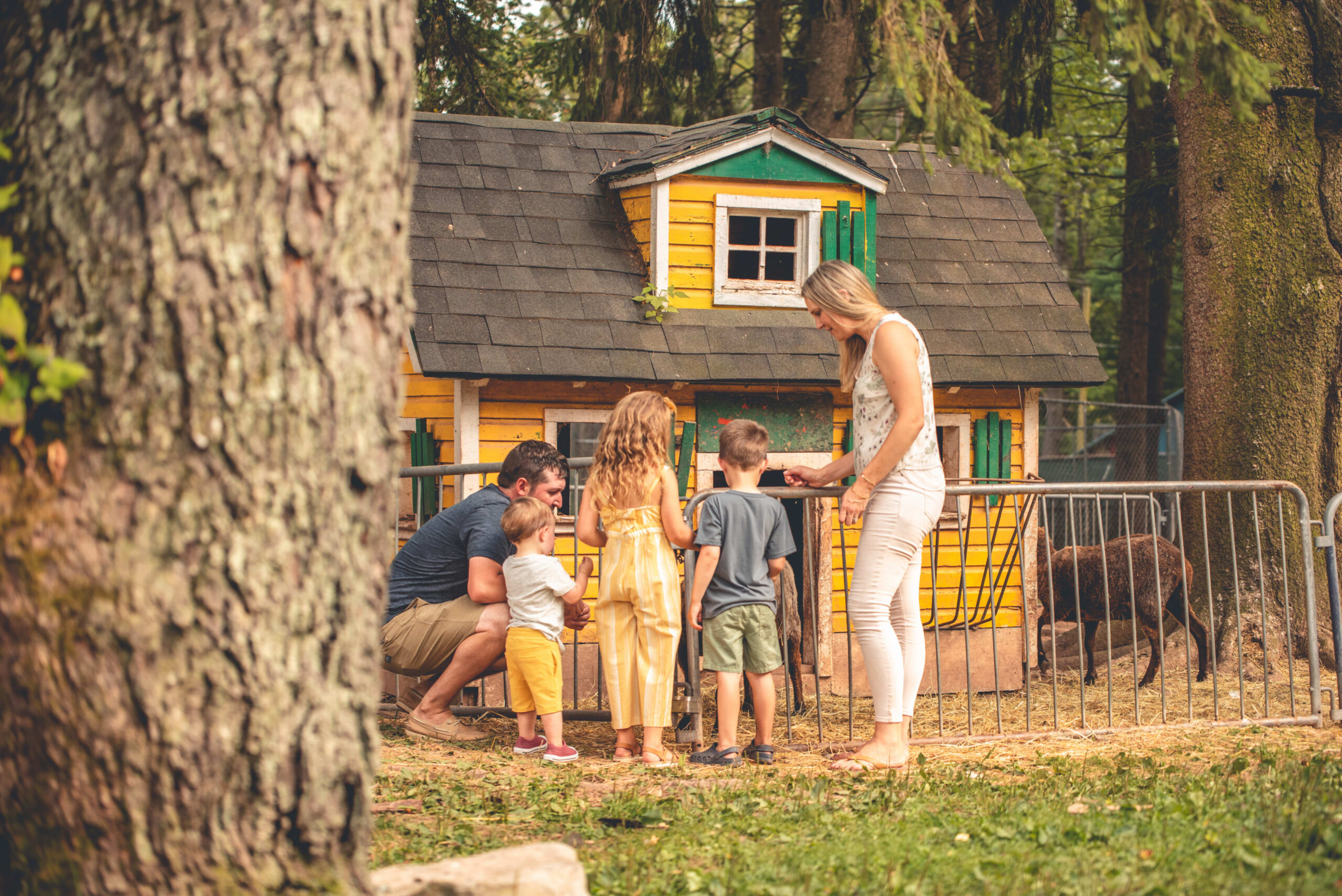 Family Fun Itinerary
