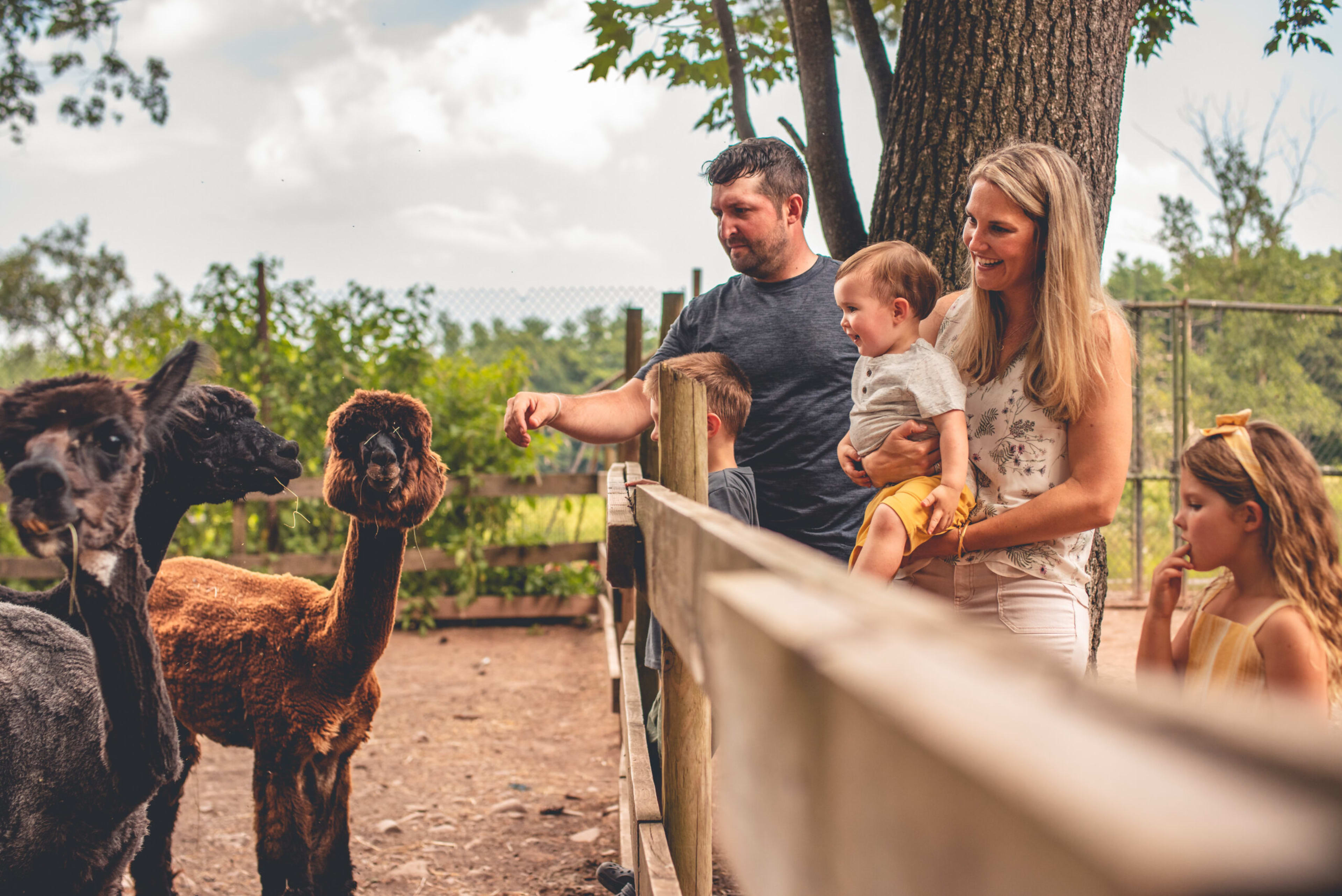Bailiwick Animal Park & Riding Stables