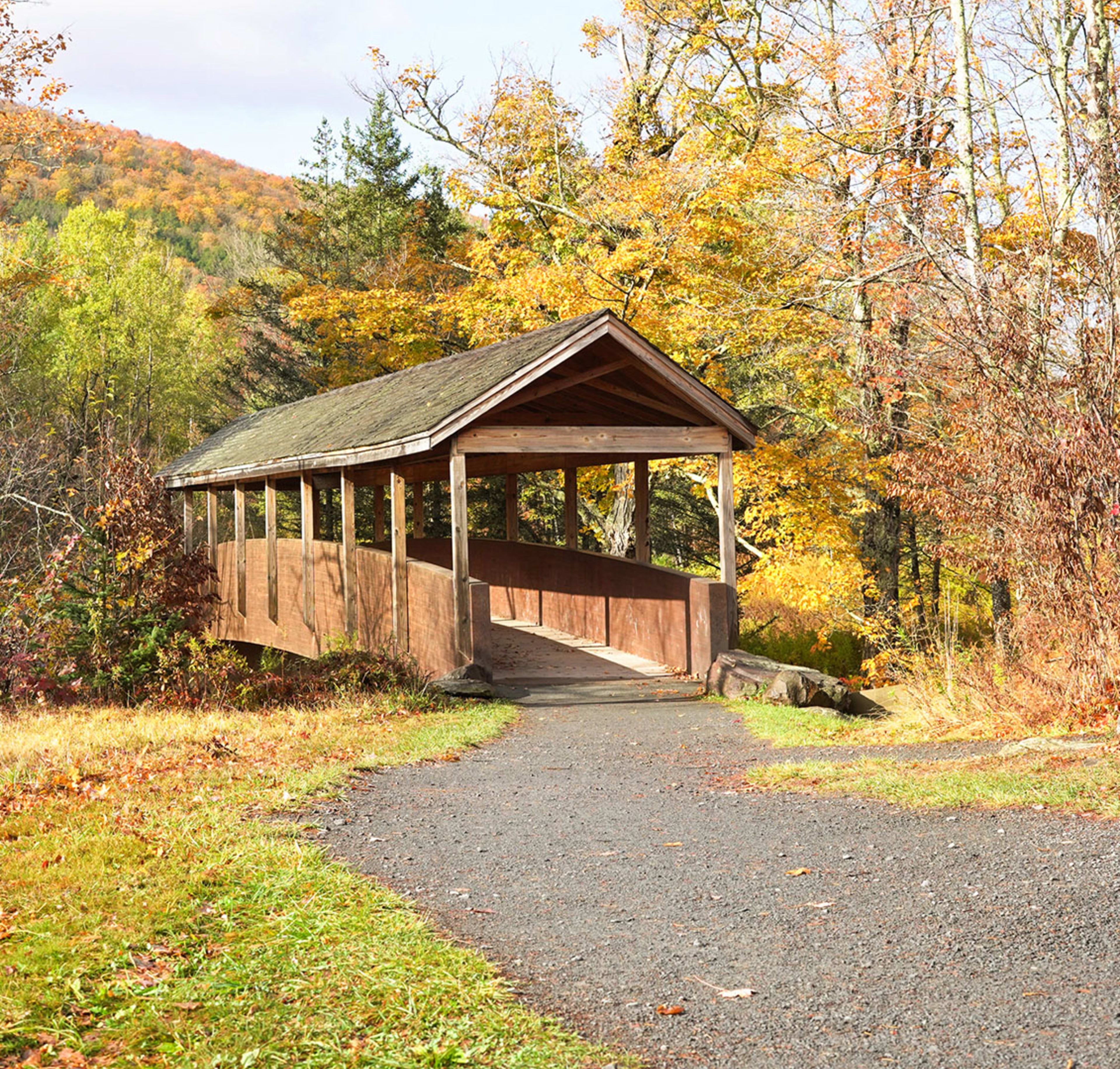 The Windham Path