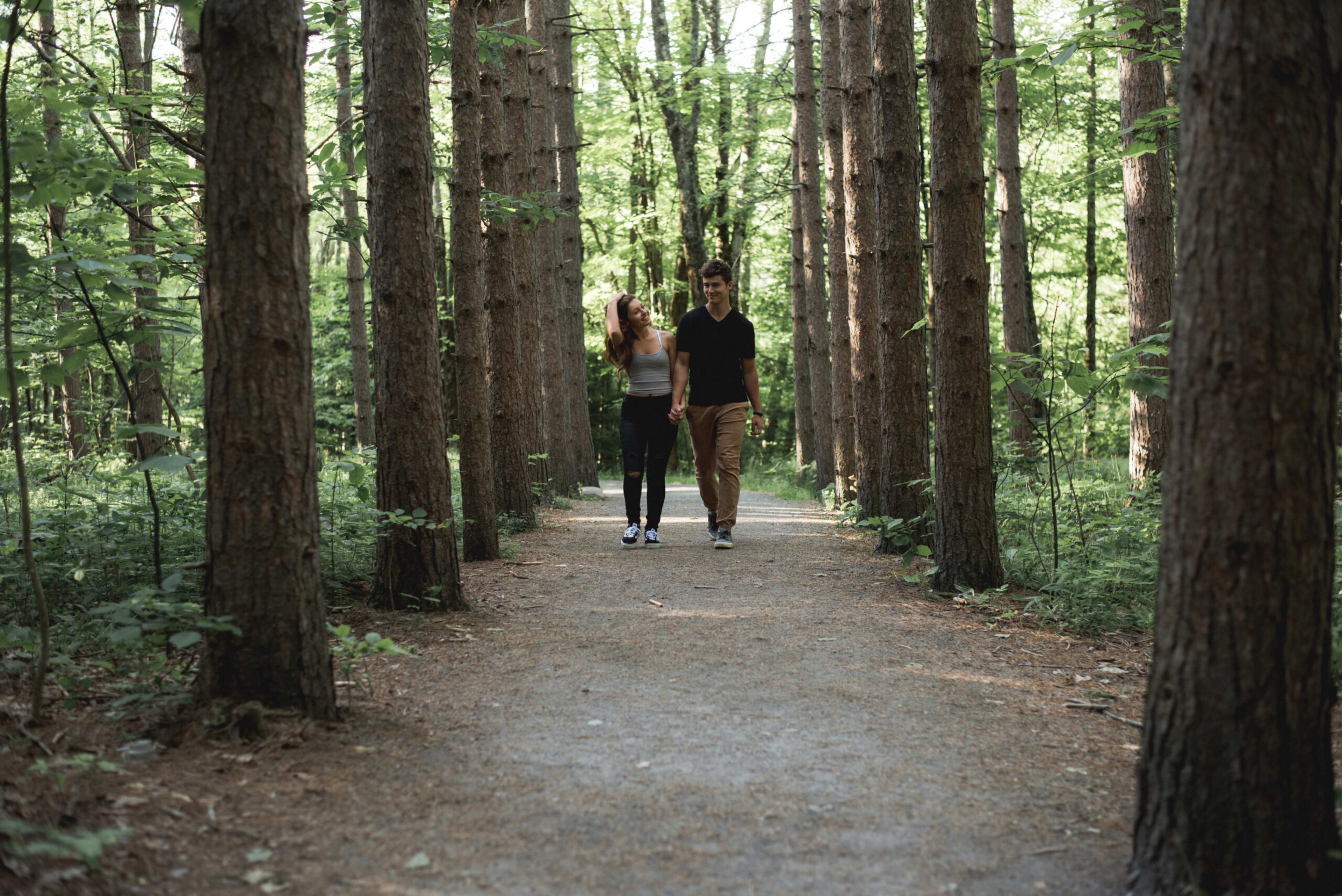 Kaaterskill Falls Viewing Platform — image 2