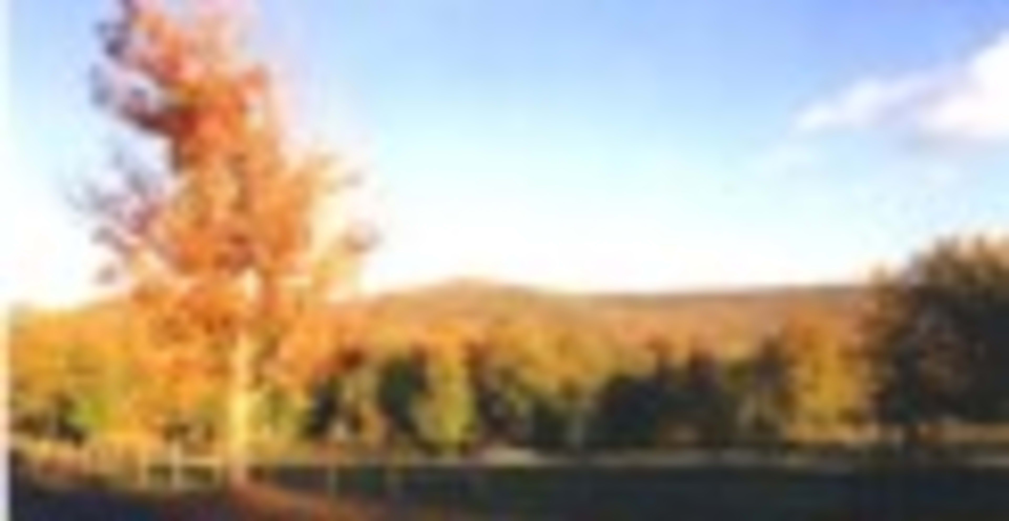 Kelly Acres — image 2