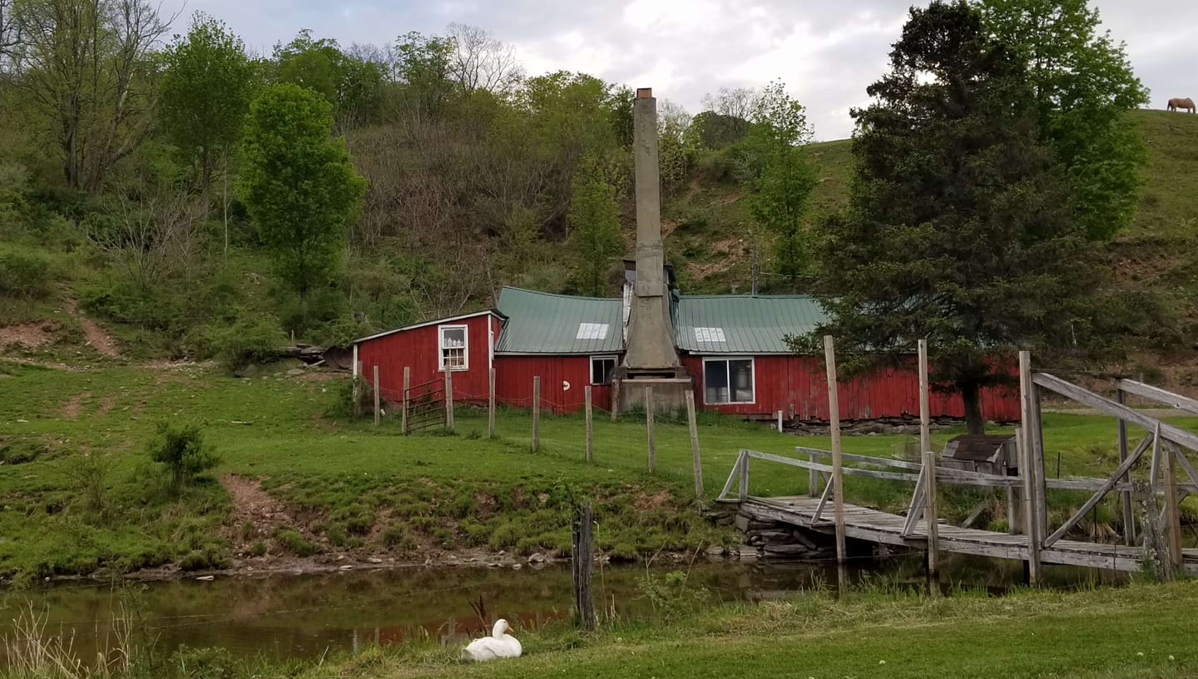 Maple Hill Farms