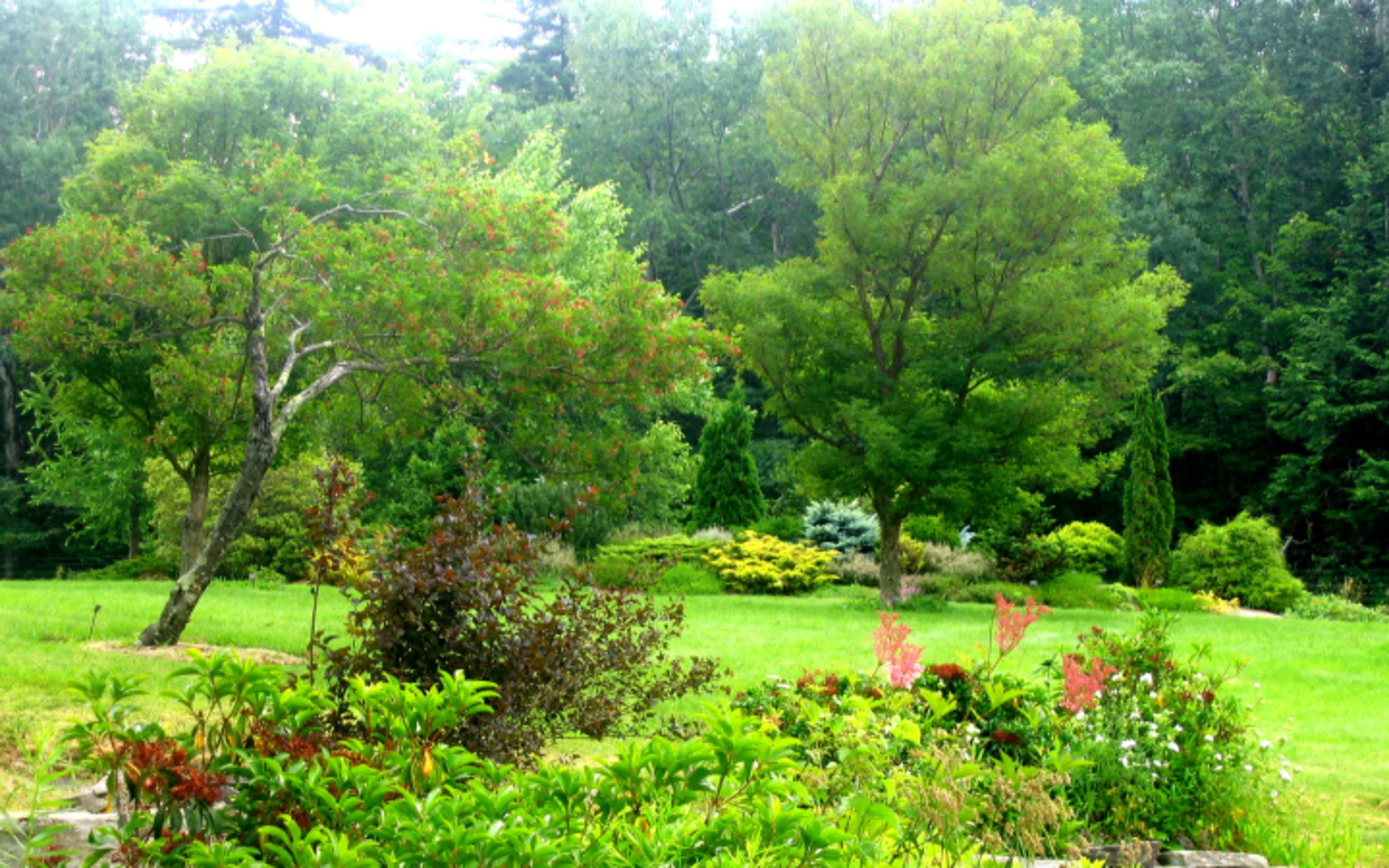 Mountain Top Arboretum
