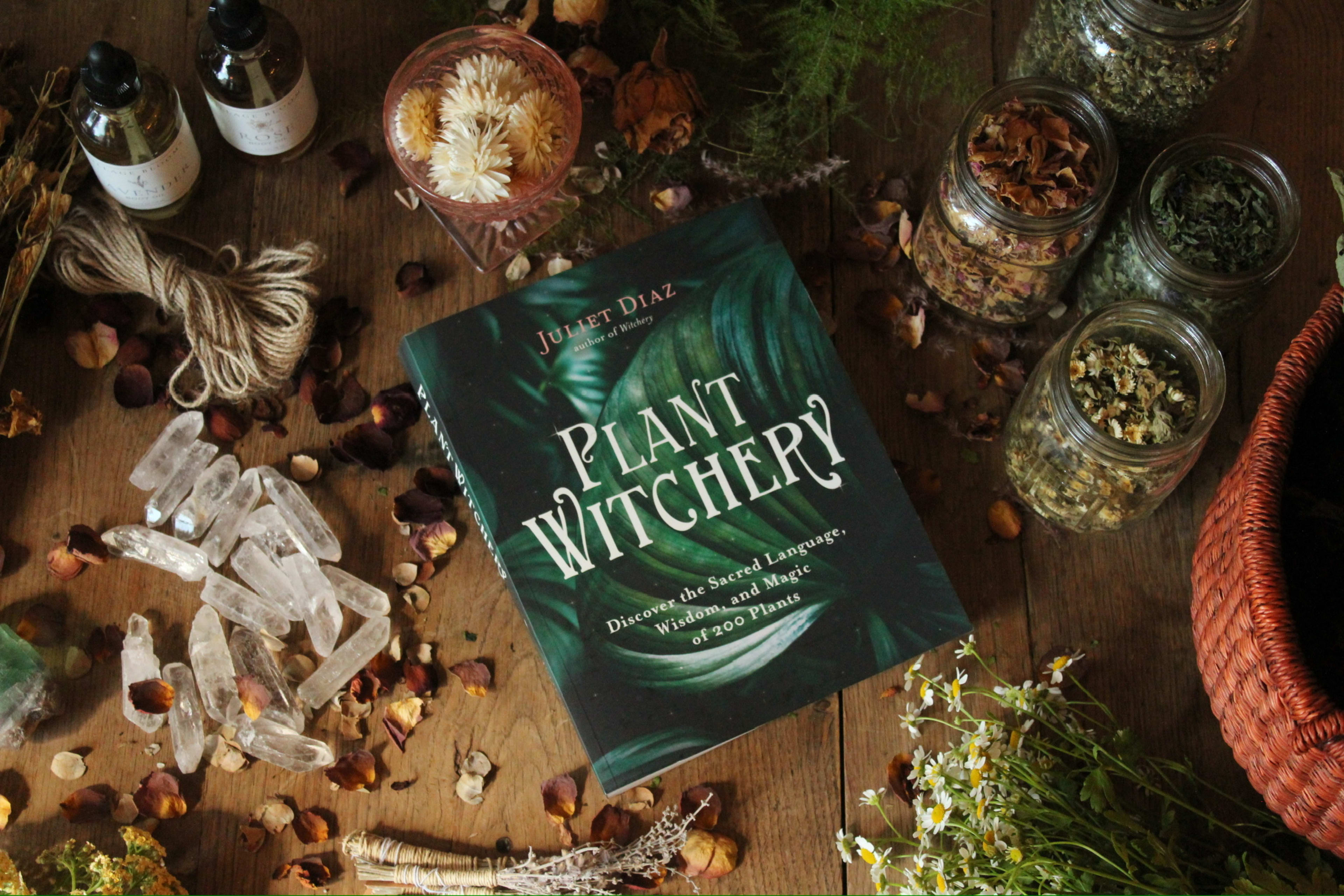 Plant Witchery workshop