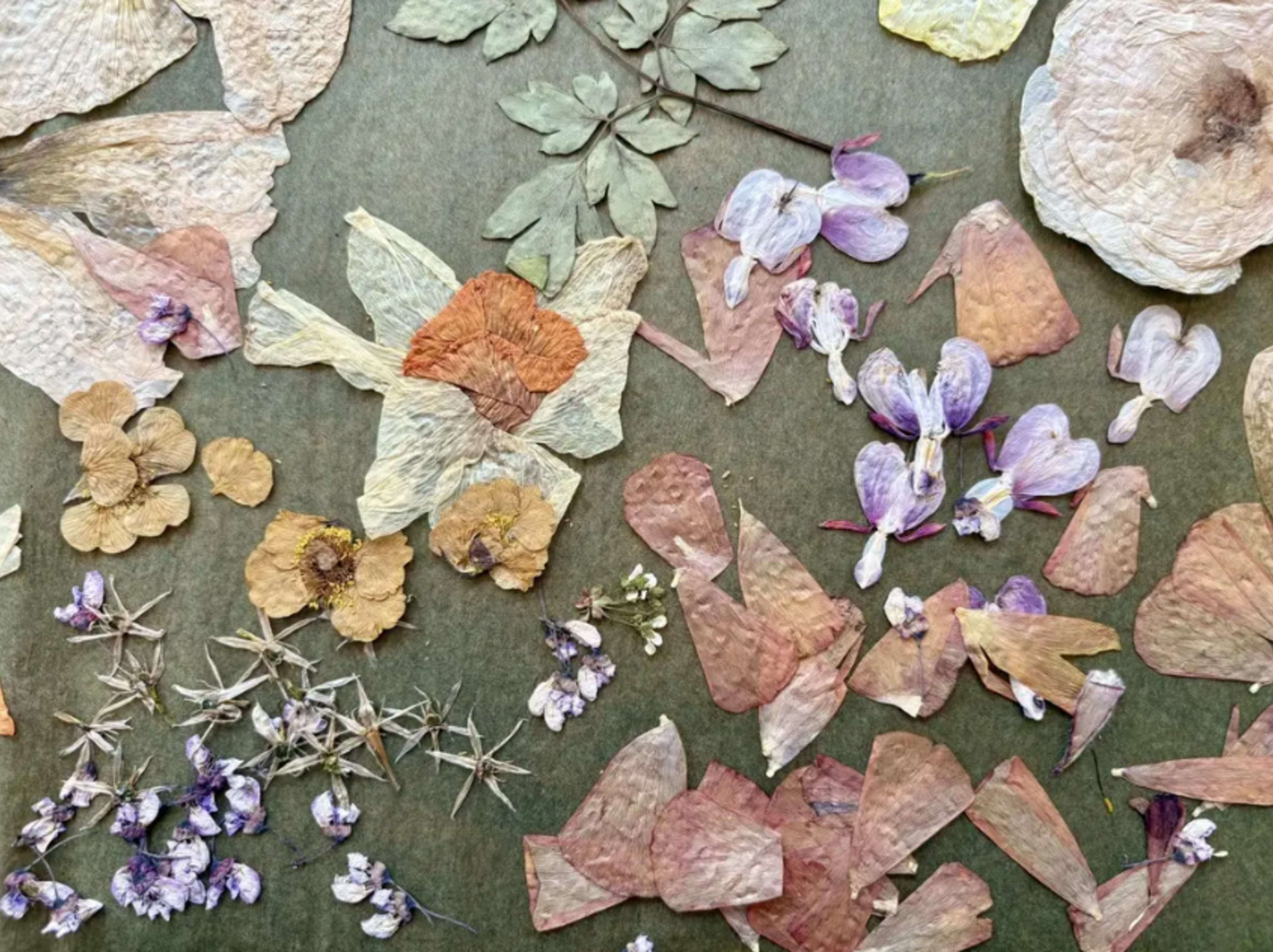 Second Saturday Workshop: Pressed-Flower Votives with Julie H. Goon