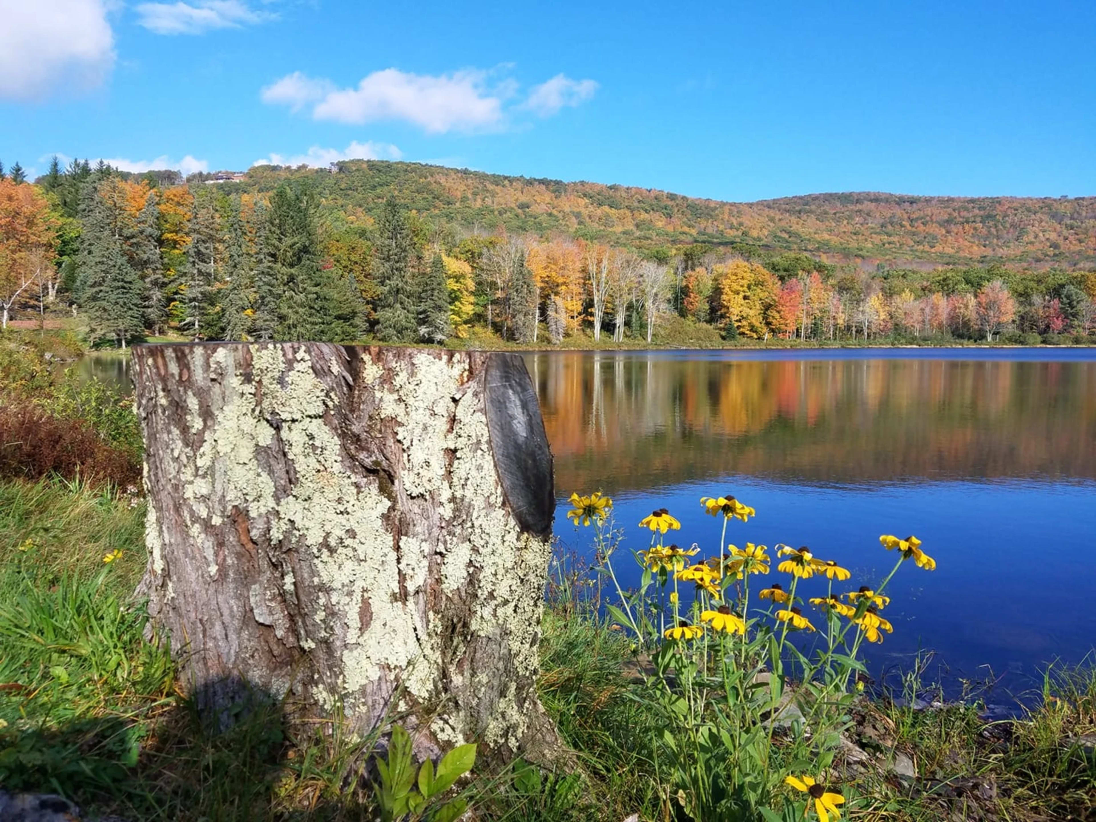 Serendipity Lake House — image 1